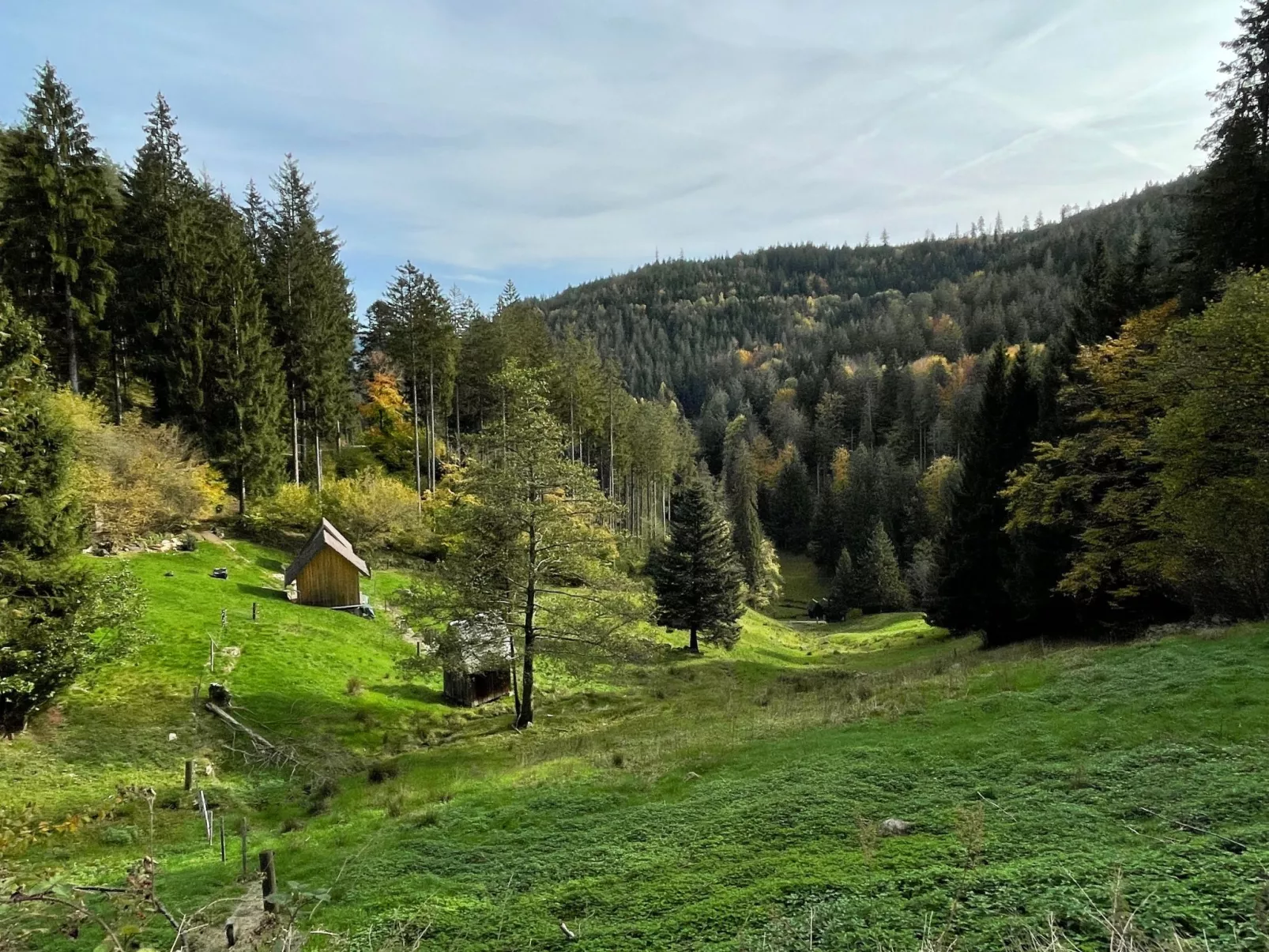 Charmante Wohnung in Bermersbach-Dehors
