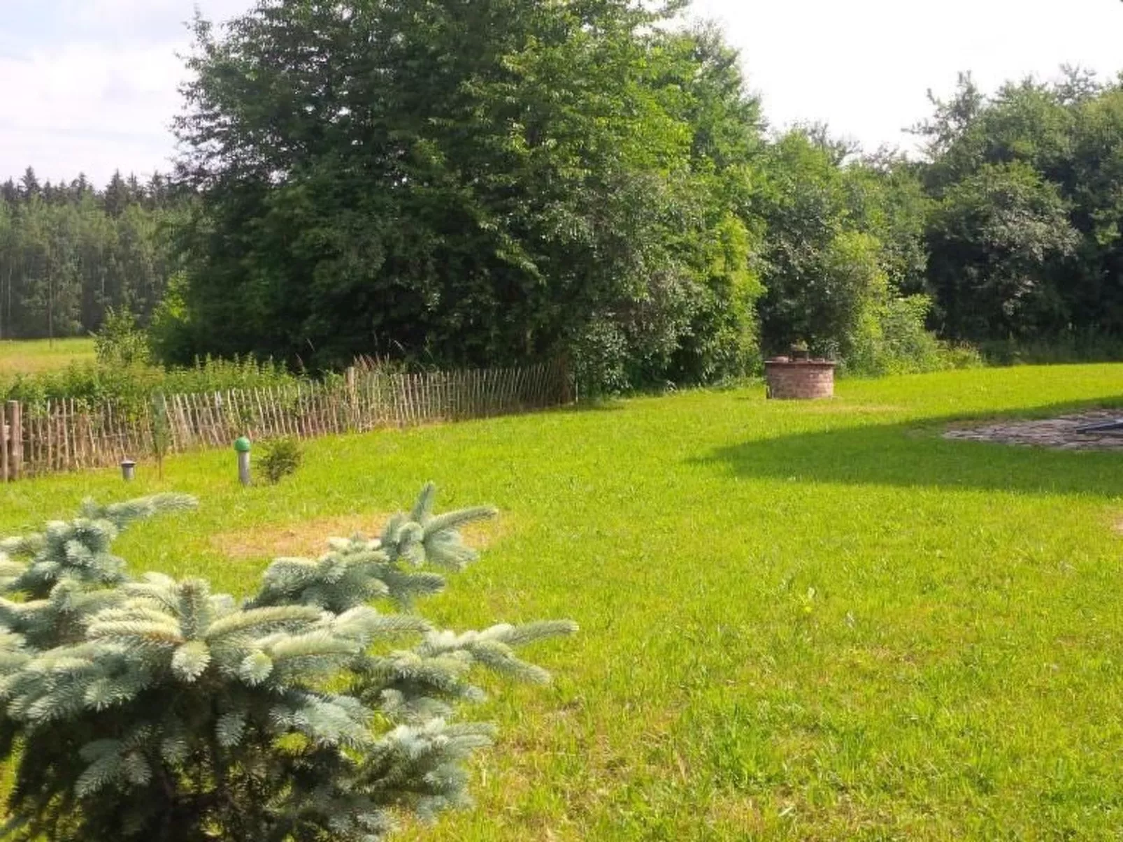 Nasze Chabazie-Dehors