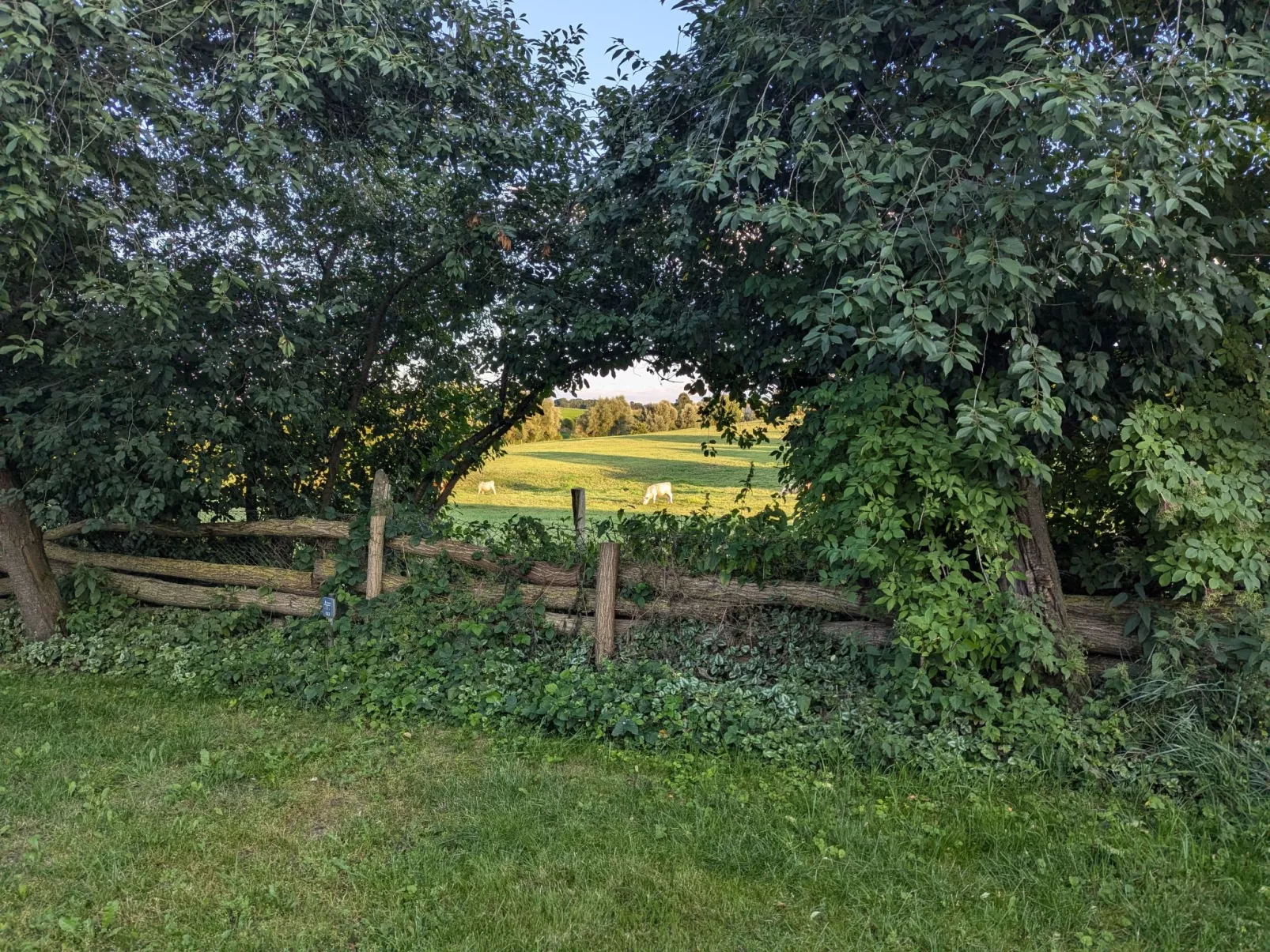 In Berkenlatten mit Großer Terrasse-Dedans