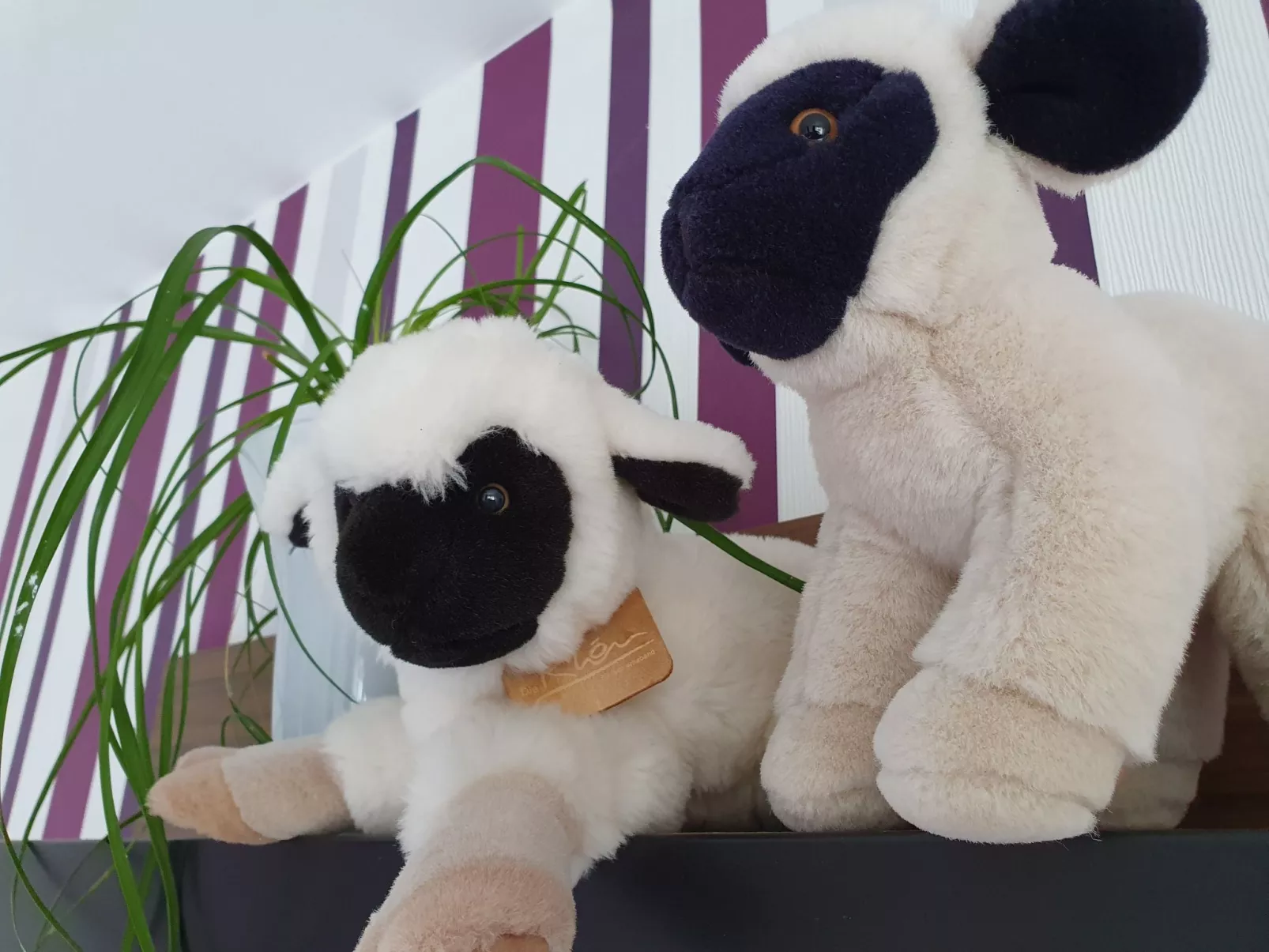 Casa Maria in Ehrenberg an der Rhön-Drinnen