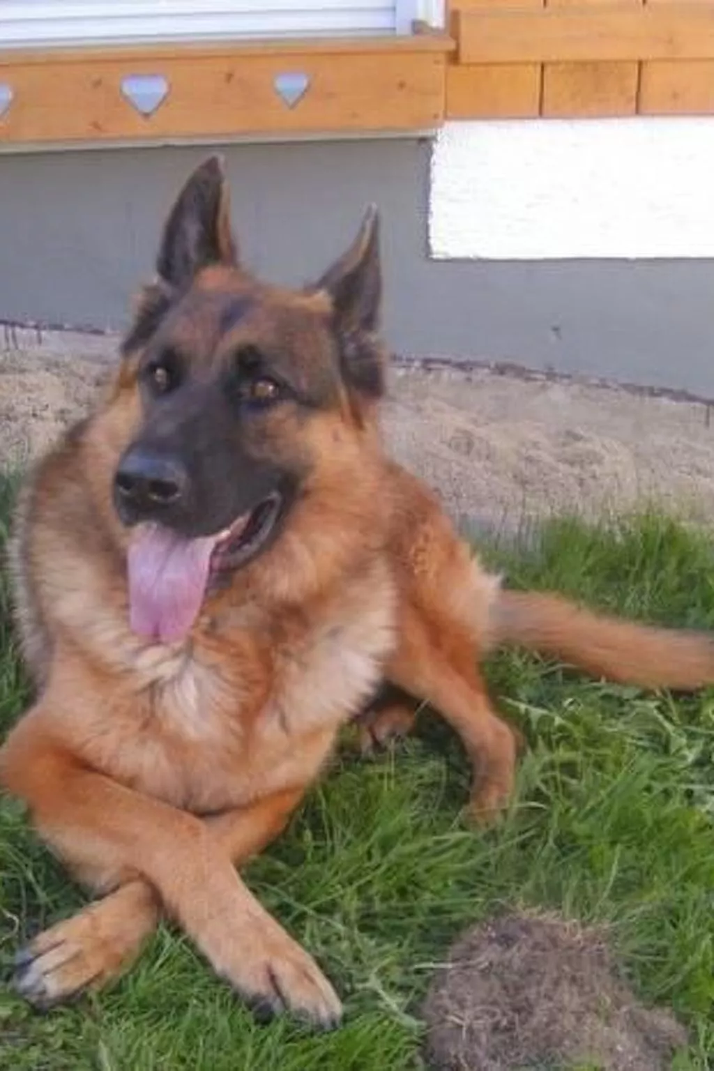 Zur Linde-Image-tags.info