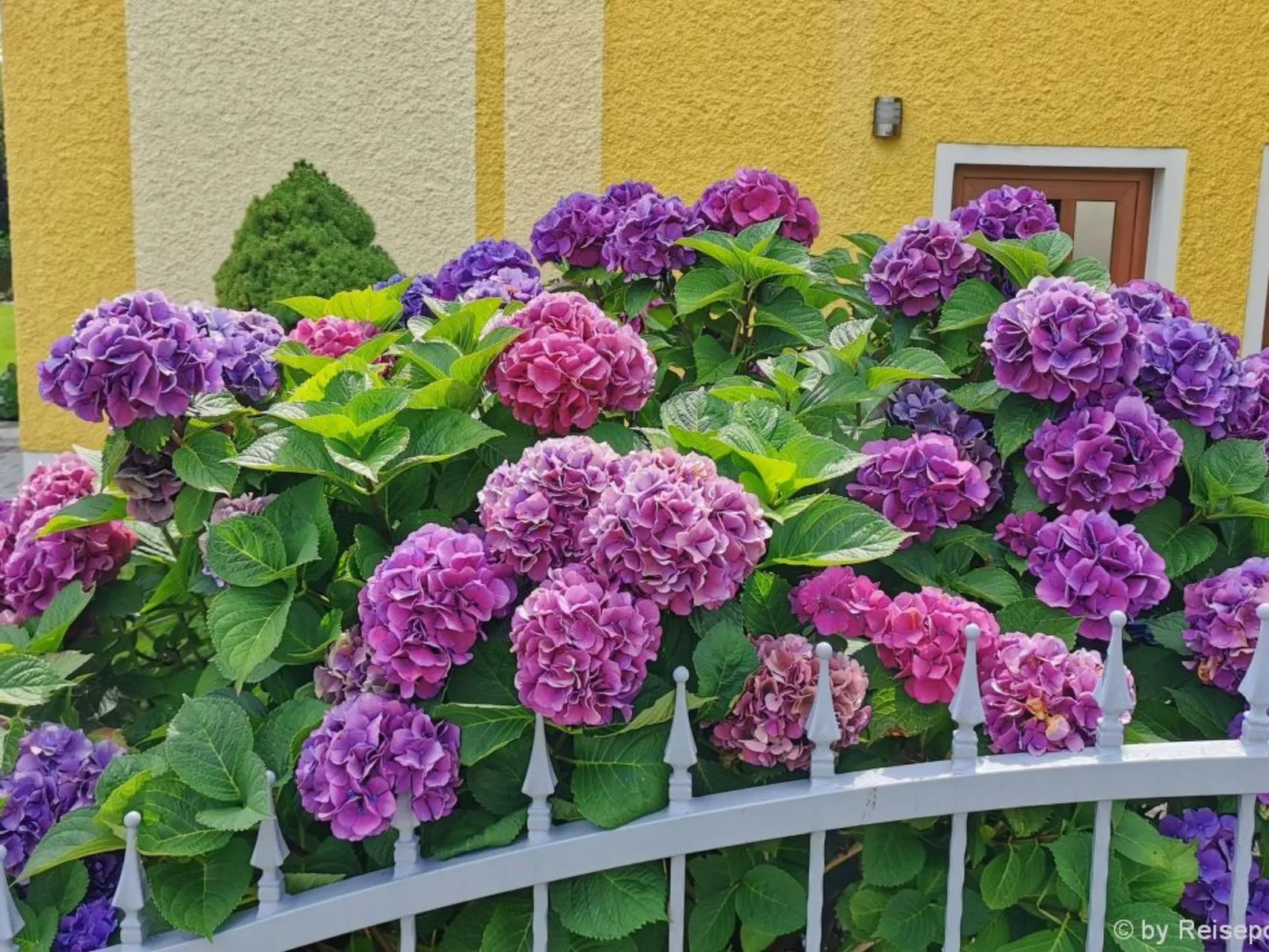 Komfortable Ferienwohnung mit Garten und Grill-Draußen