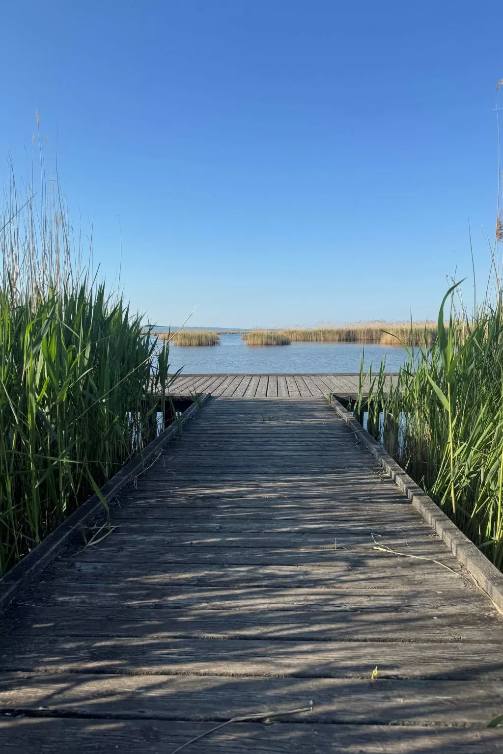 Lakeside Top2-Draußen