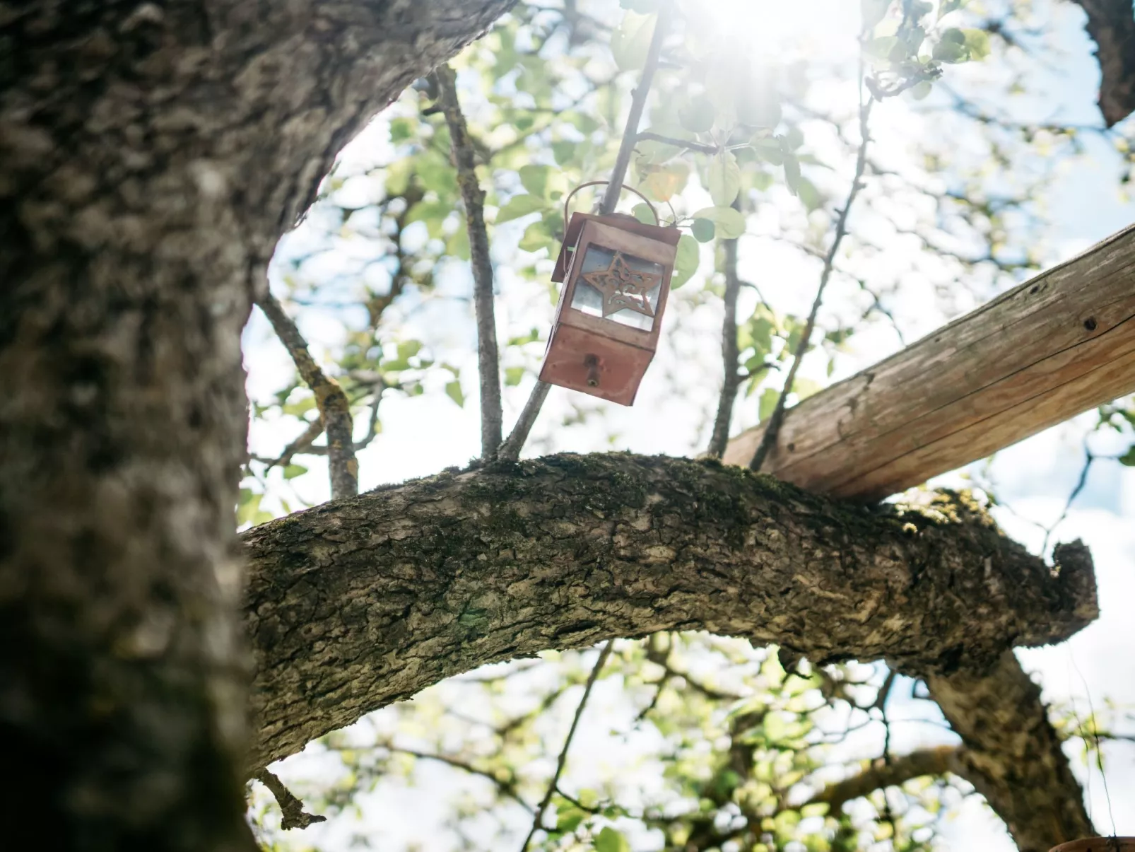 Gemütliches Ferienhaus in Feistritz Ob Bleiburg-Draußen