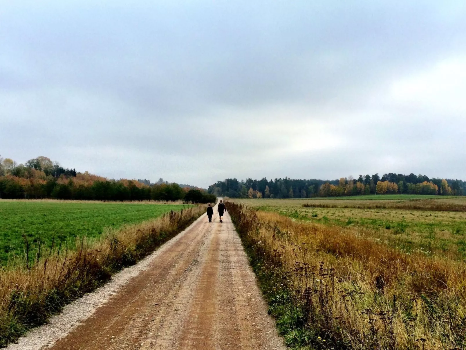 Nachhaltig und gefühlvoll in Seenähe-Inside