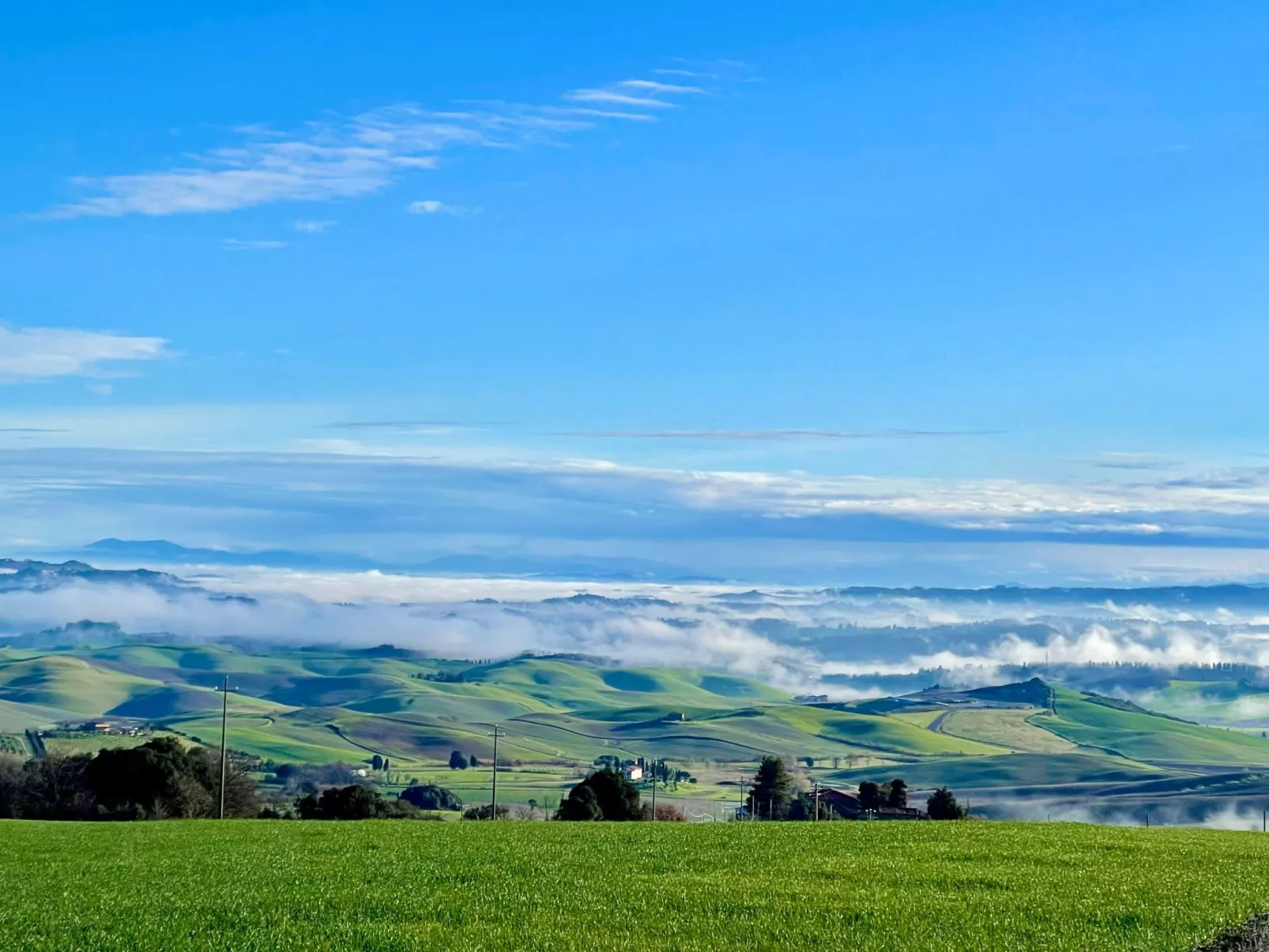 Ostoncino biodynamisch-Outside
