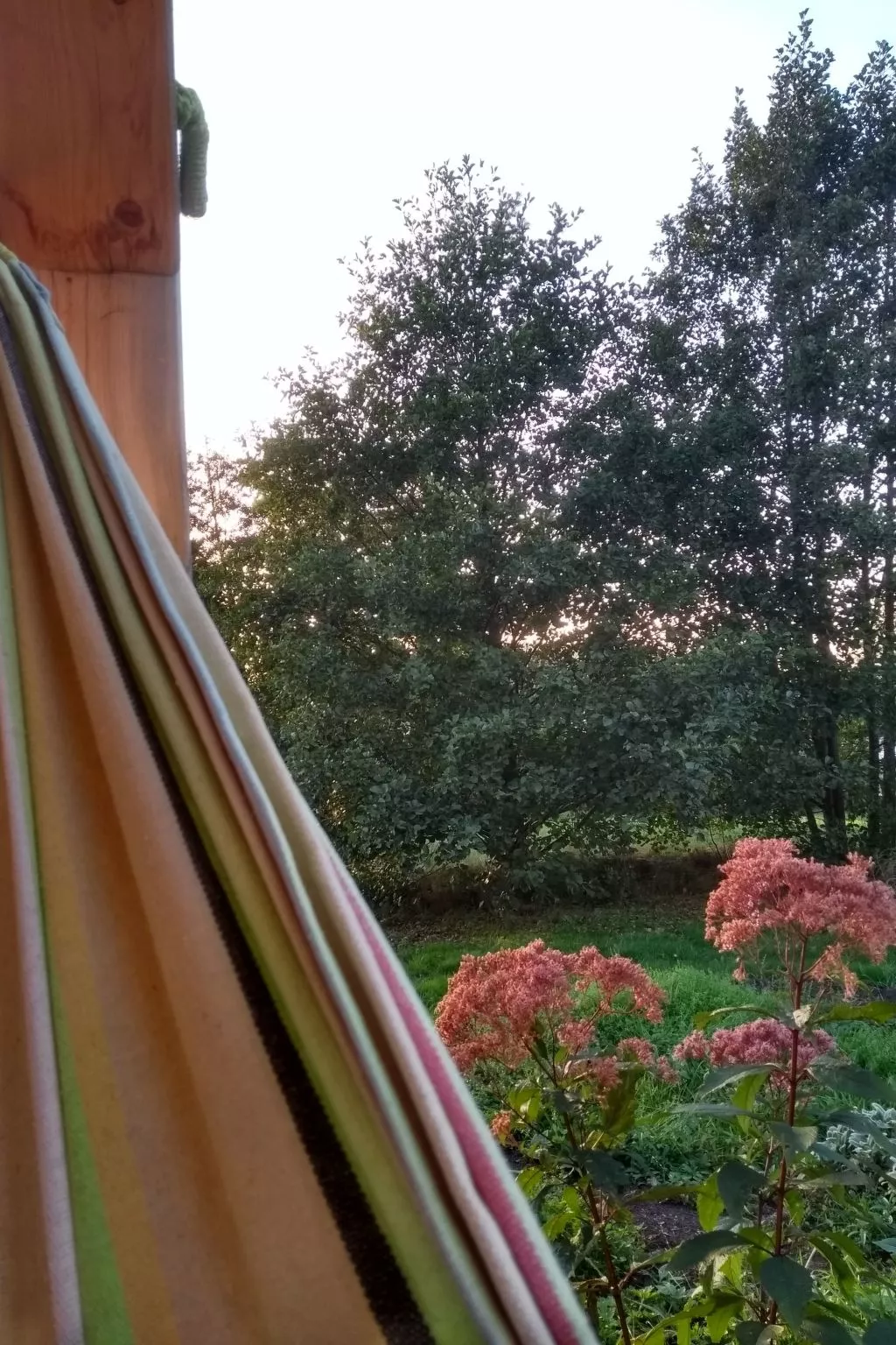 Urlaub Zirkuswagen-Dehors