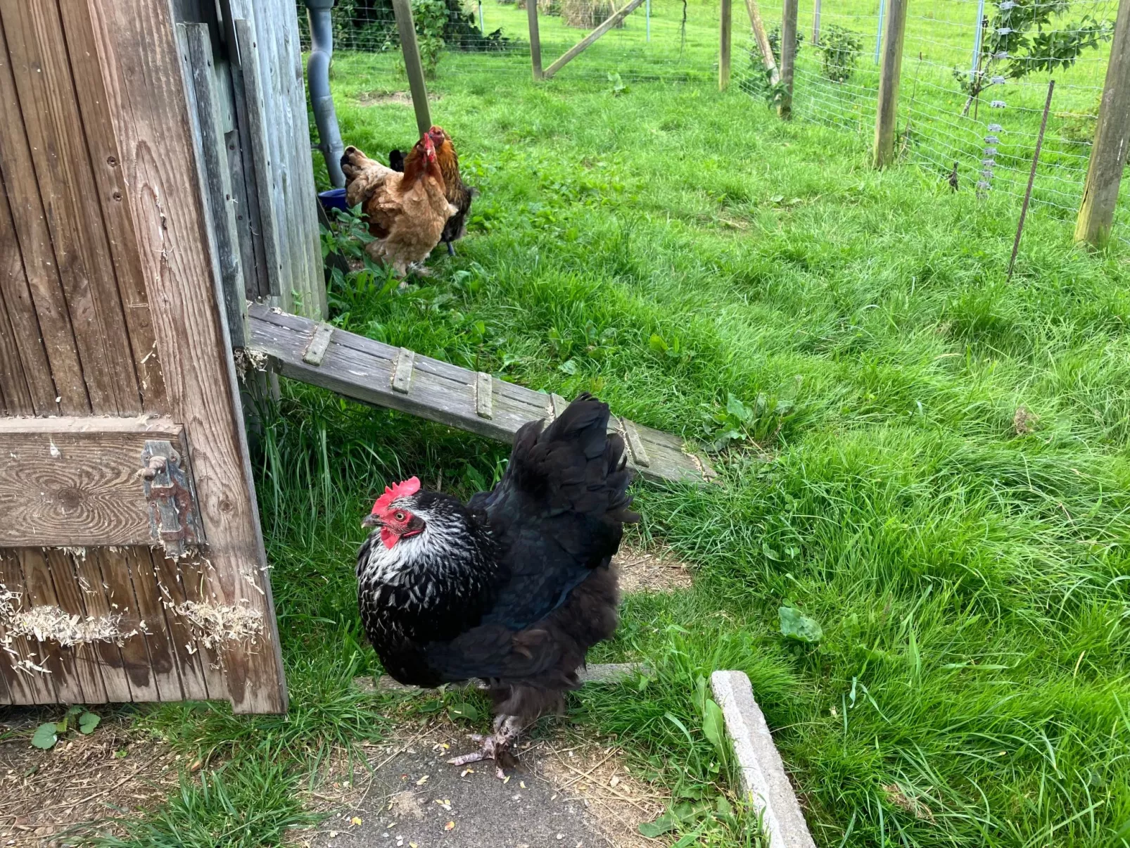 Gemütliche Ferienwohnung in Brodersby-Schönhagen-Outside
