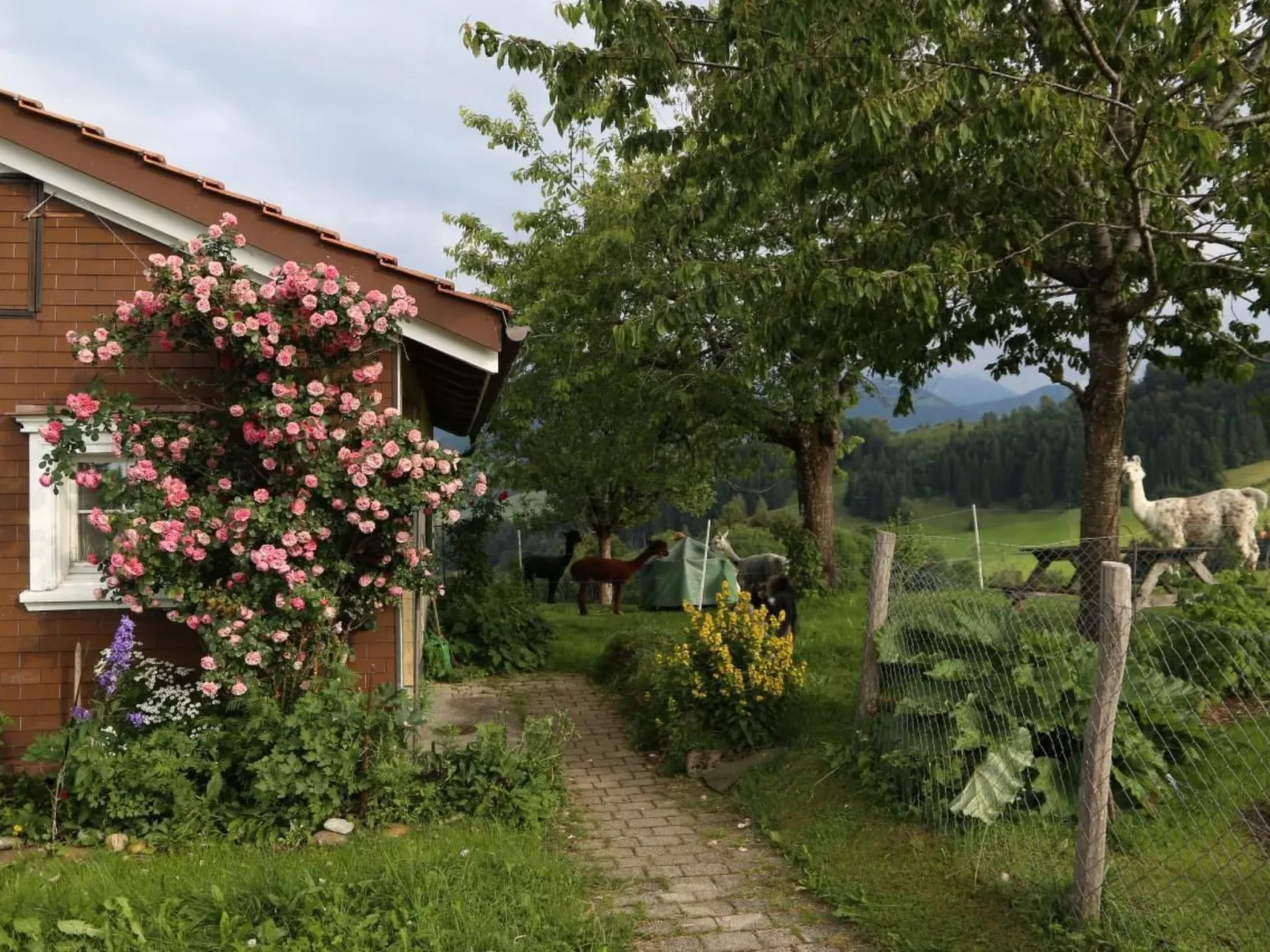 Tiererlebnishof Windegg-Draußen