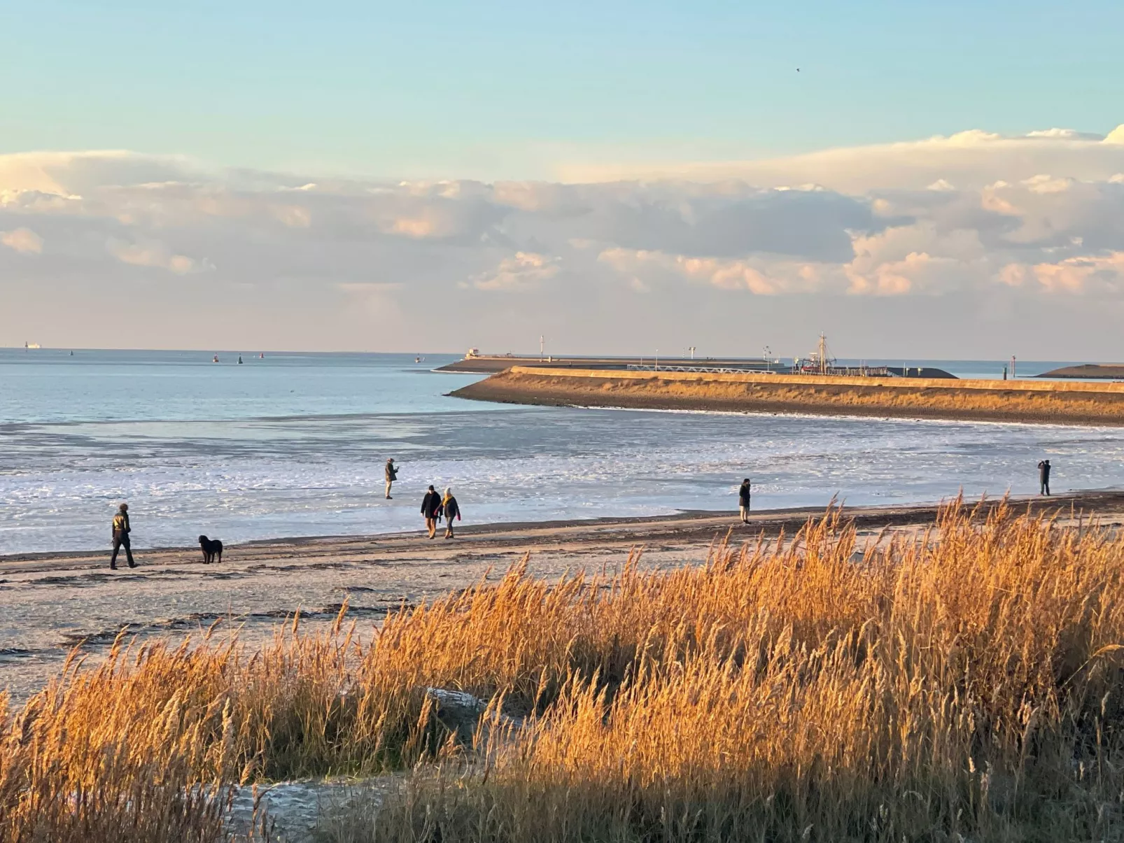 FH Satijnduiker-Dehors