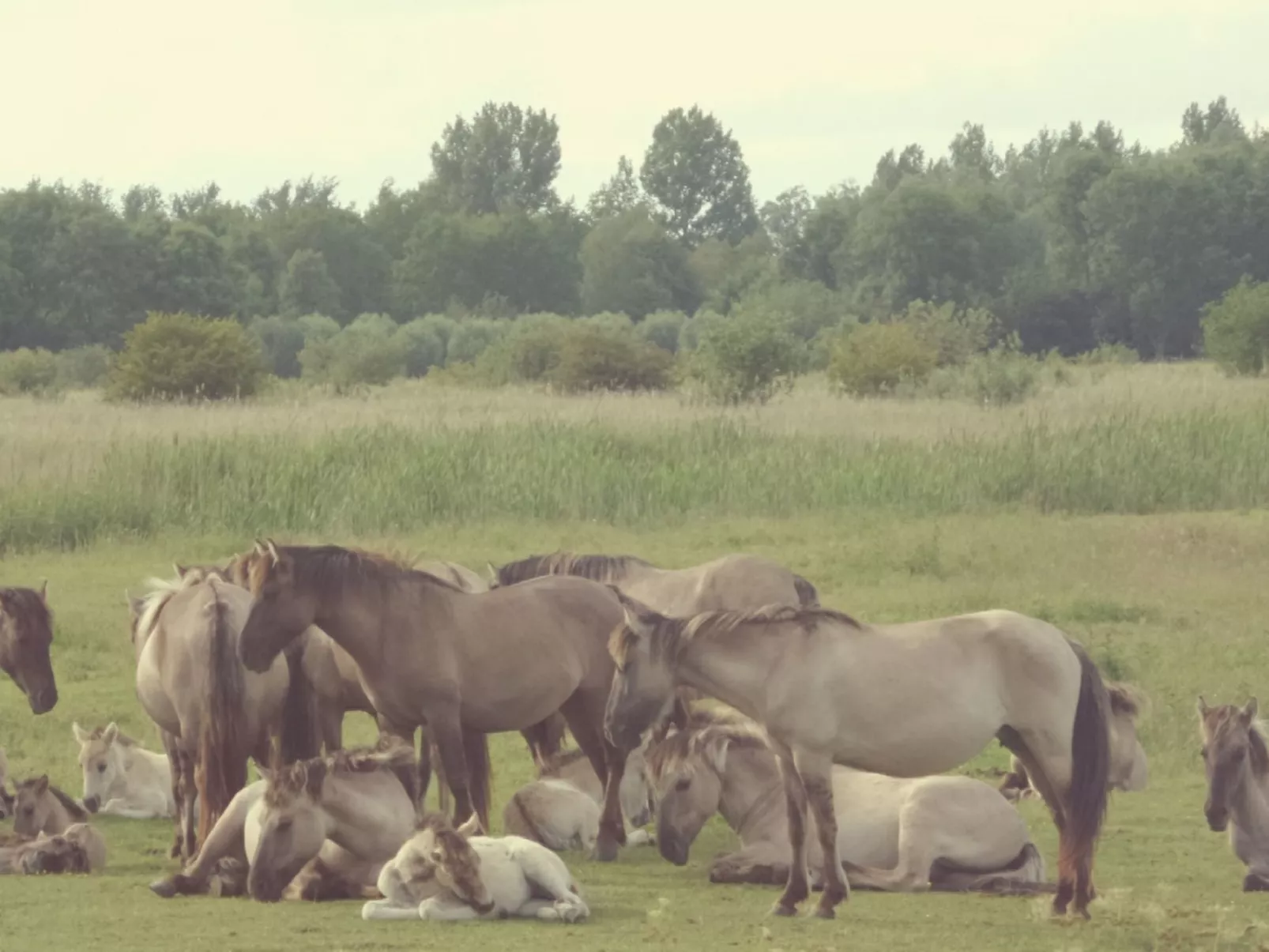 163 Natascha-Draußen