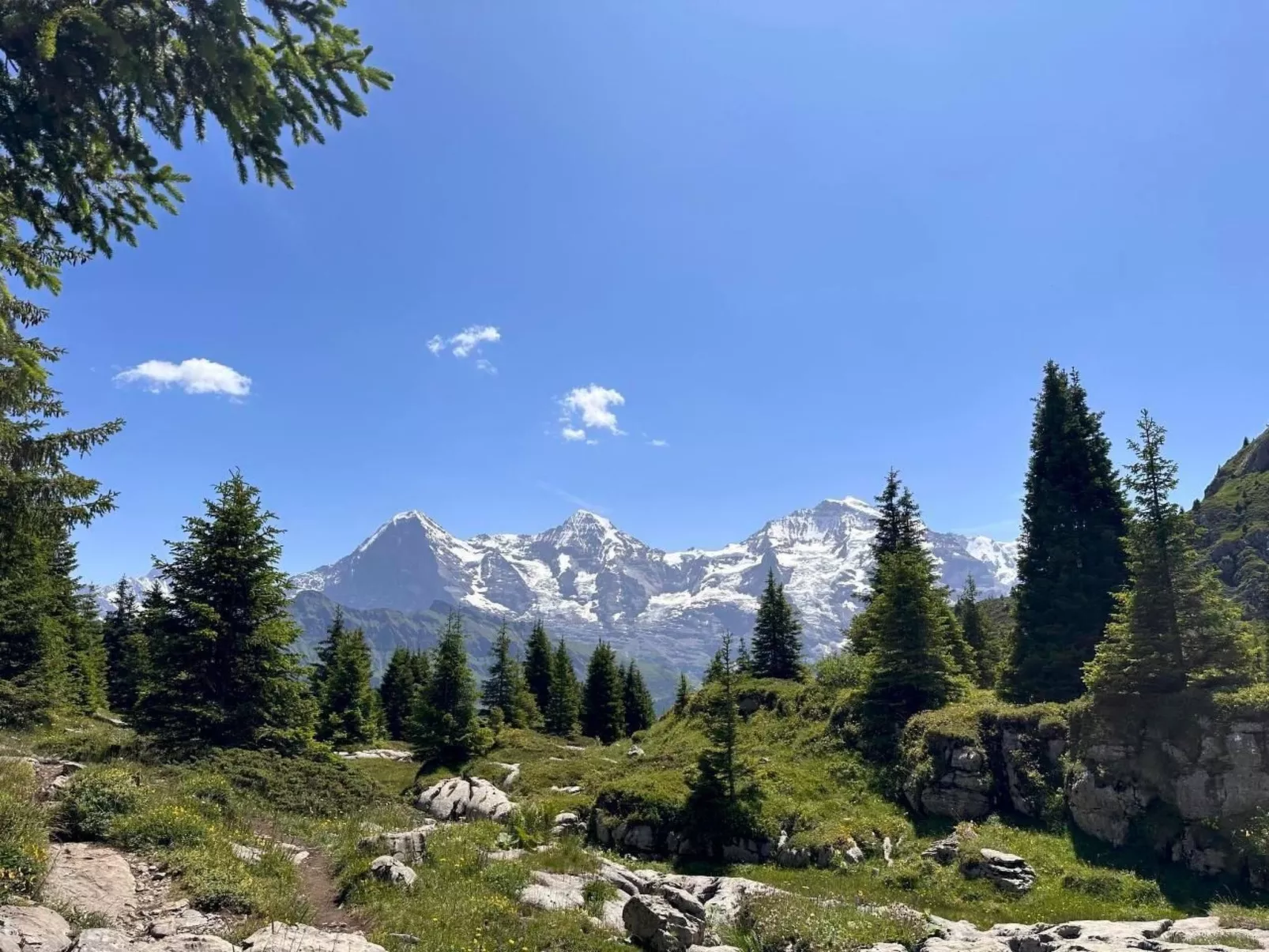 Wohnung Niesenblick-Dehors