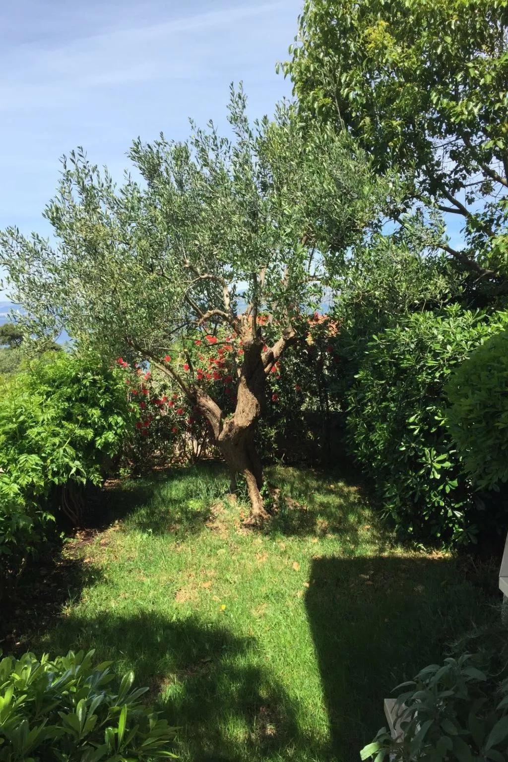 In der ersten Etage mit Meerblick-Outside