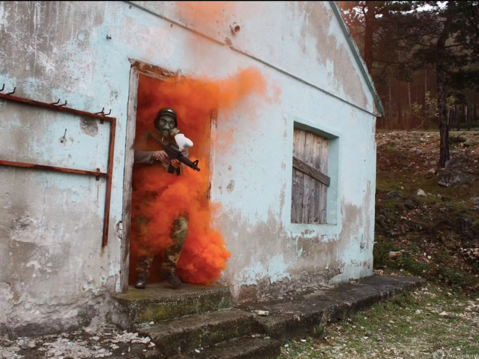 La Finca OliveTree-Outside