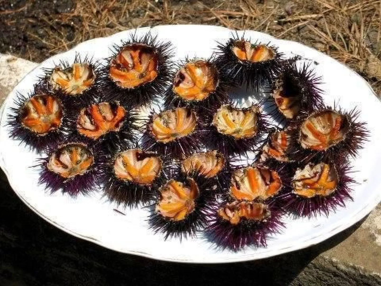 "Ein kleines Paradies"-Image-tags.info