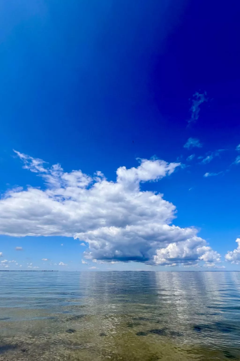 Lobster im Nauticum-Outside