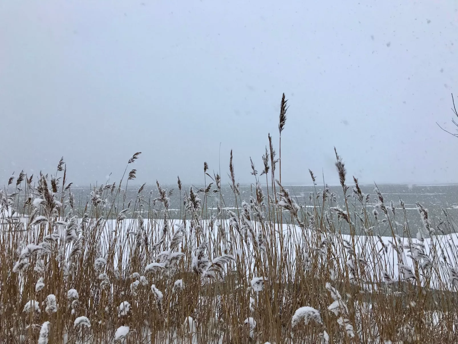 Wiesenblick 2-Outside