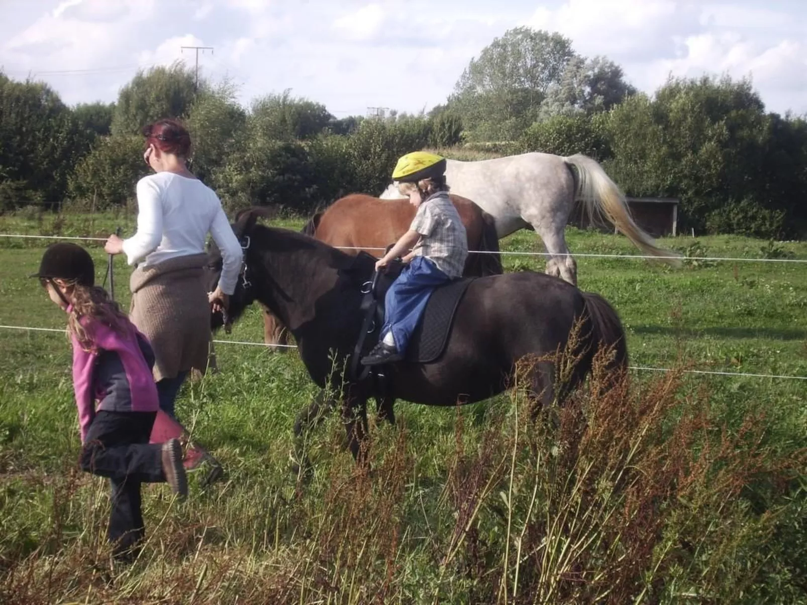 Hof Rodenkrog Fewo 1-Image-tags.info