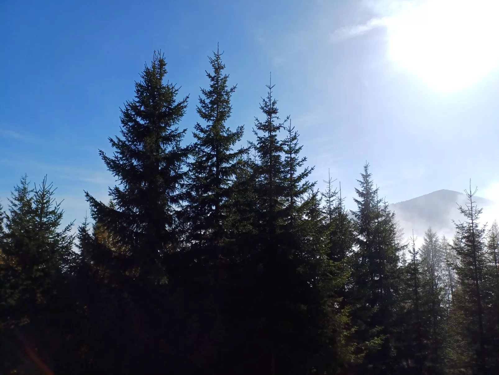 Gemütliche Almhütte direkt im Skigebiet-Outside