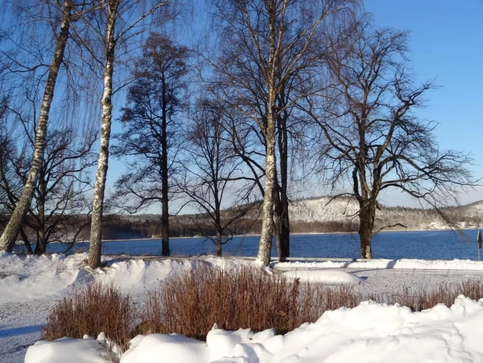 Rosenapartment-Outside