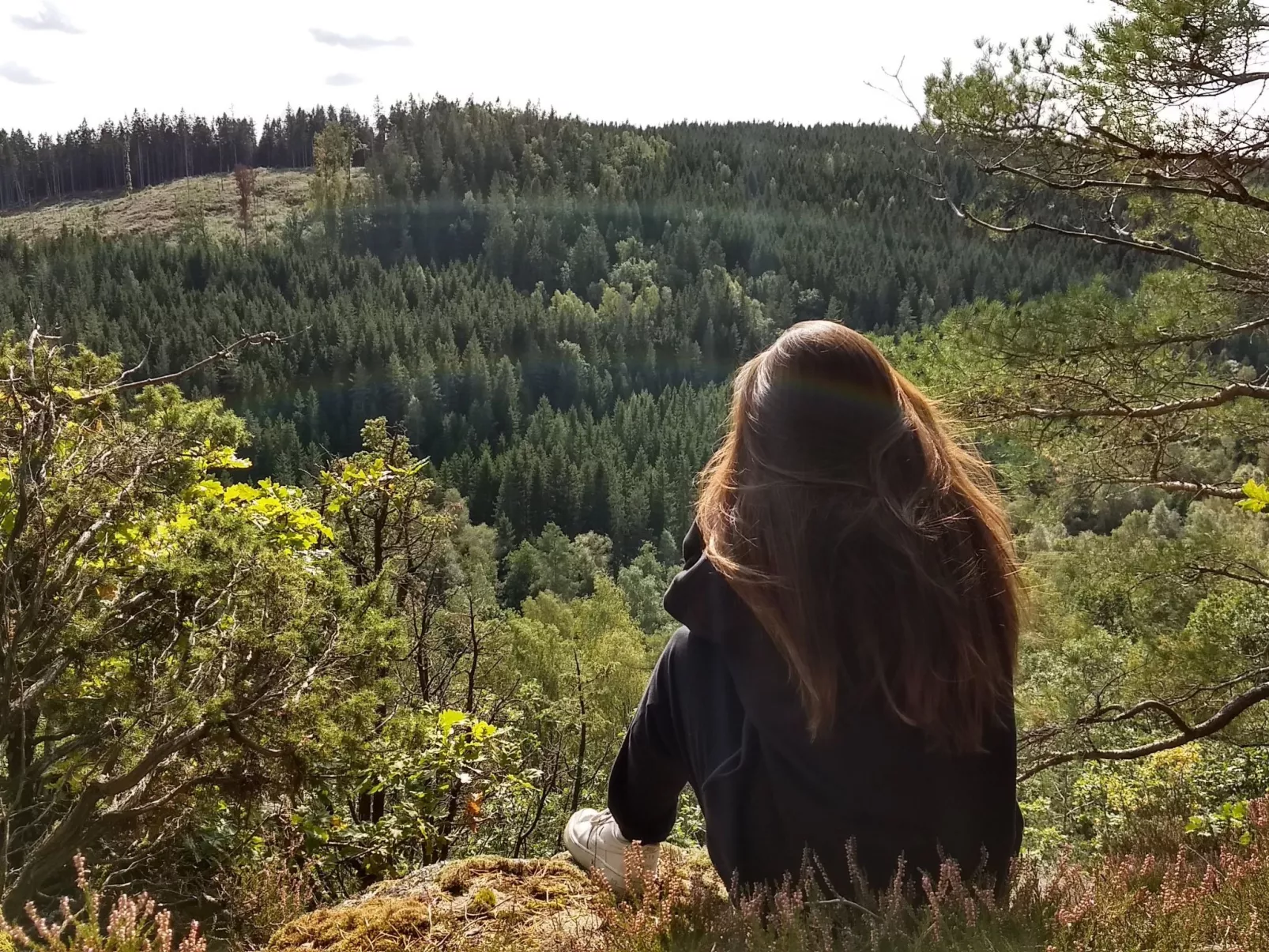 "Évika 3" mit Sauna-Image-tags.info