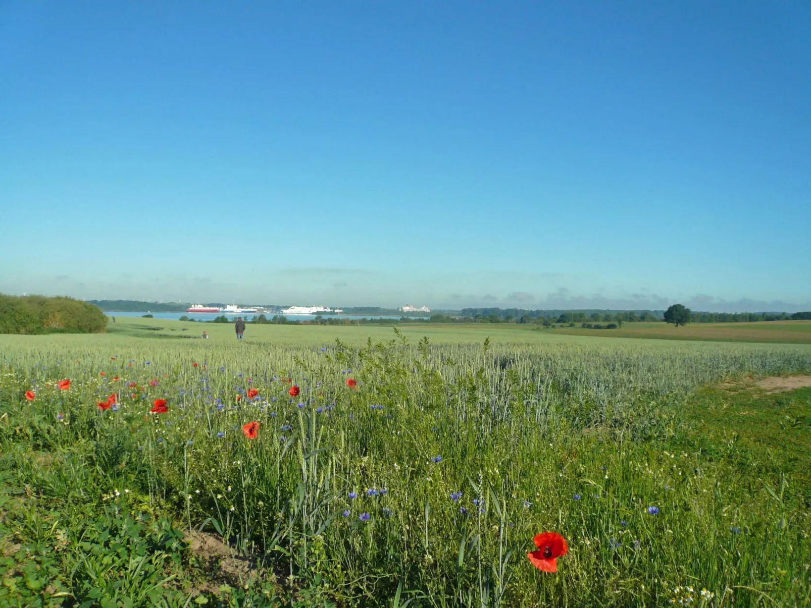 Studio am Rande eines Naturschutzgebietes-Image-tags.info
