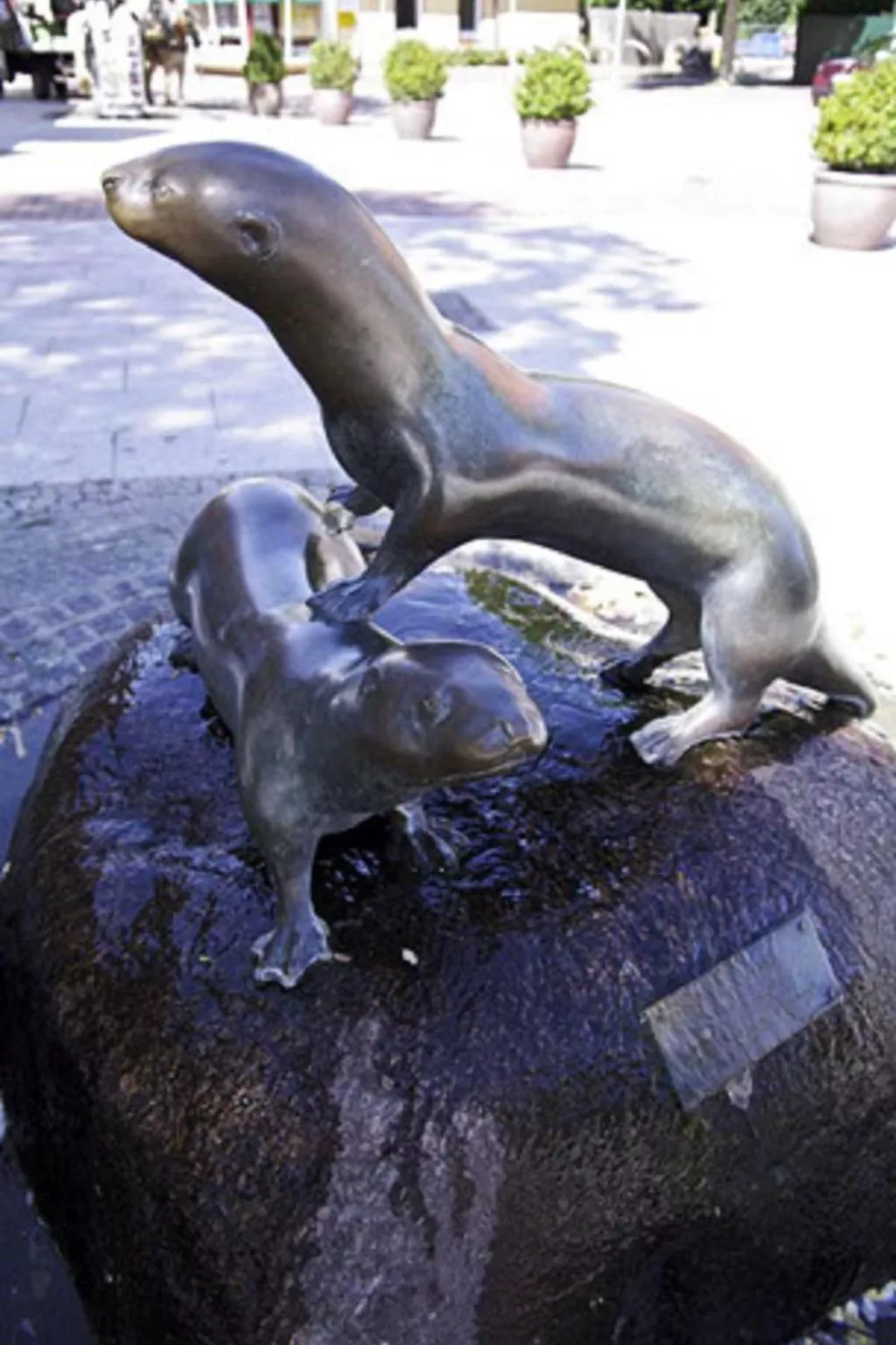 Großes Ferienhaus in Müggendorf mit Garten-Image-tags.info