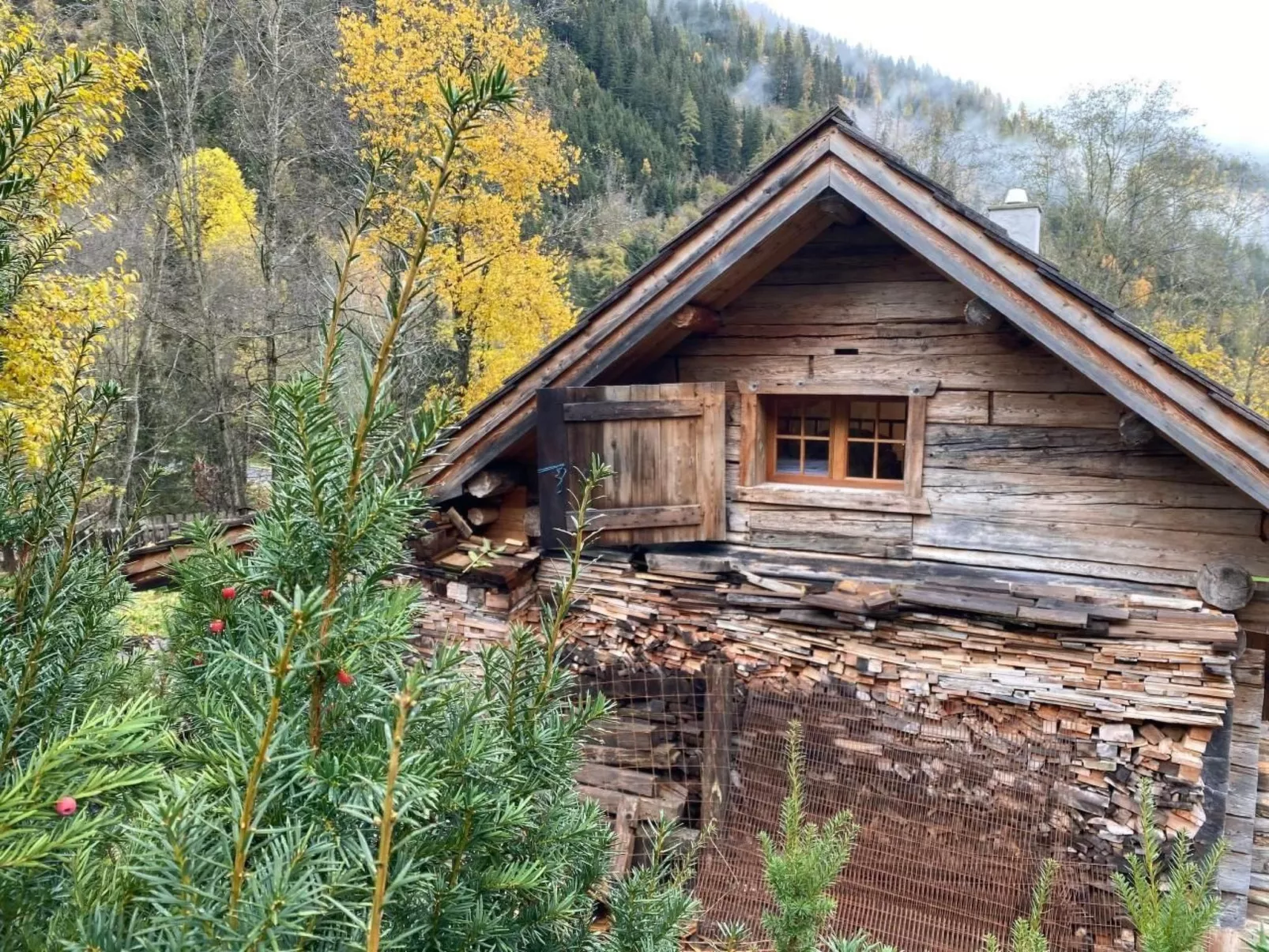 Romantikhütte-Dehors