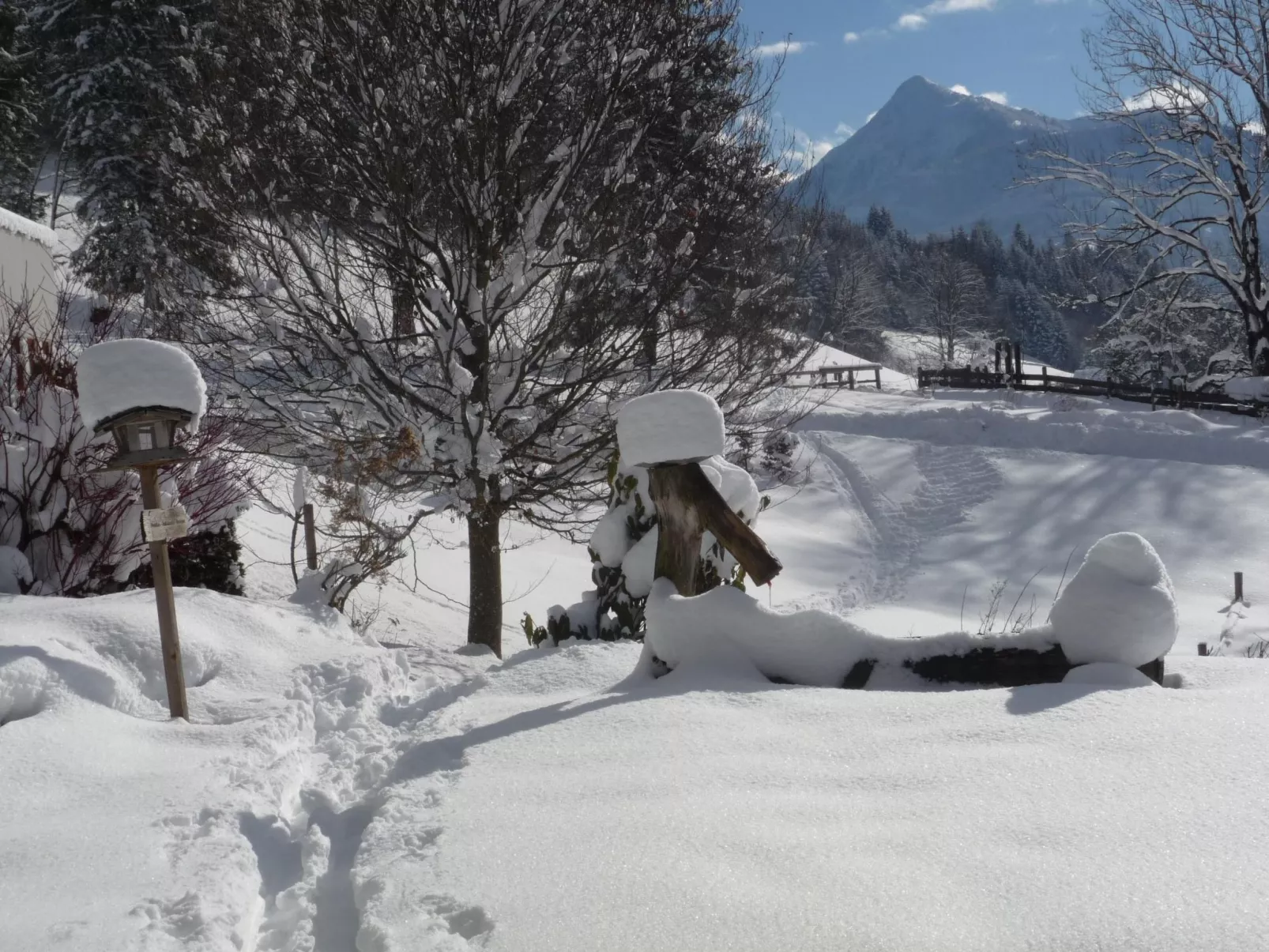 Hans Ebner in Eben im Pongau-Outside