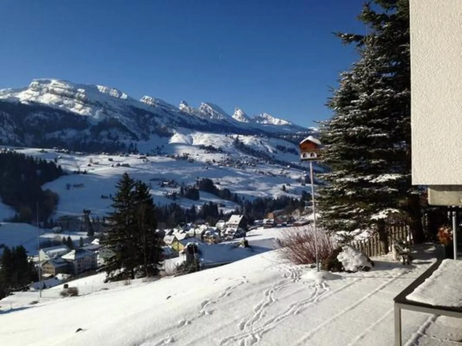 Höckli-Image-tags.info