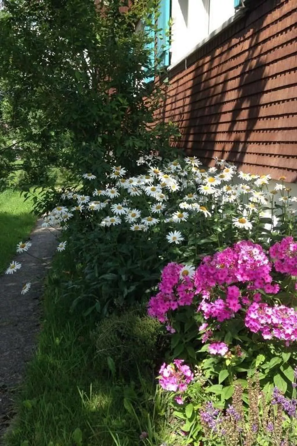 Neuer Sigerst-Image-tags.info