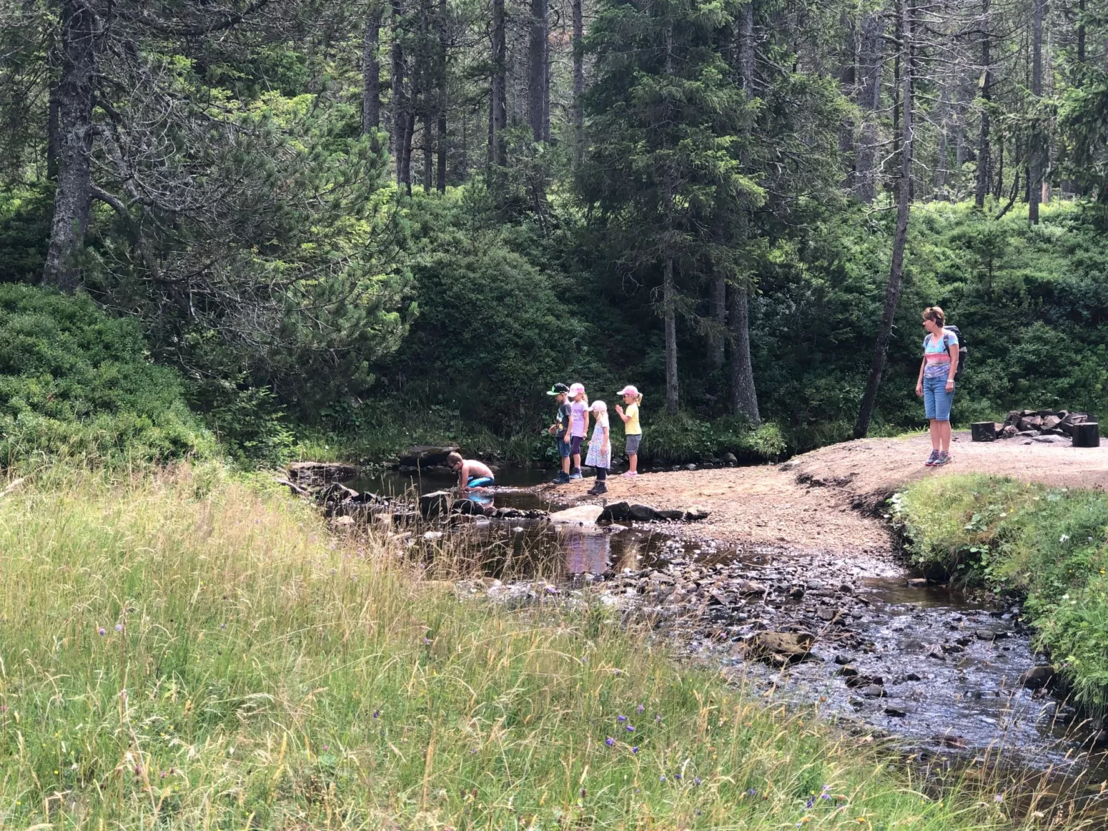 Sunny retreat-Outside