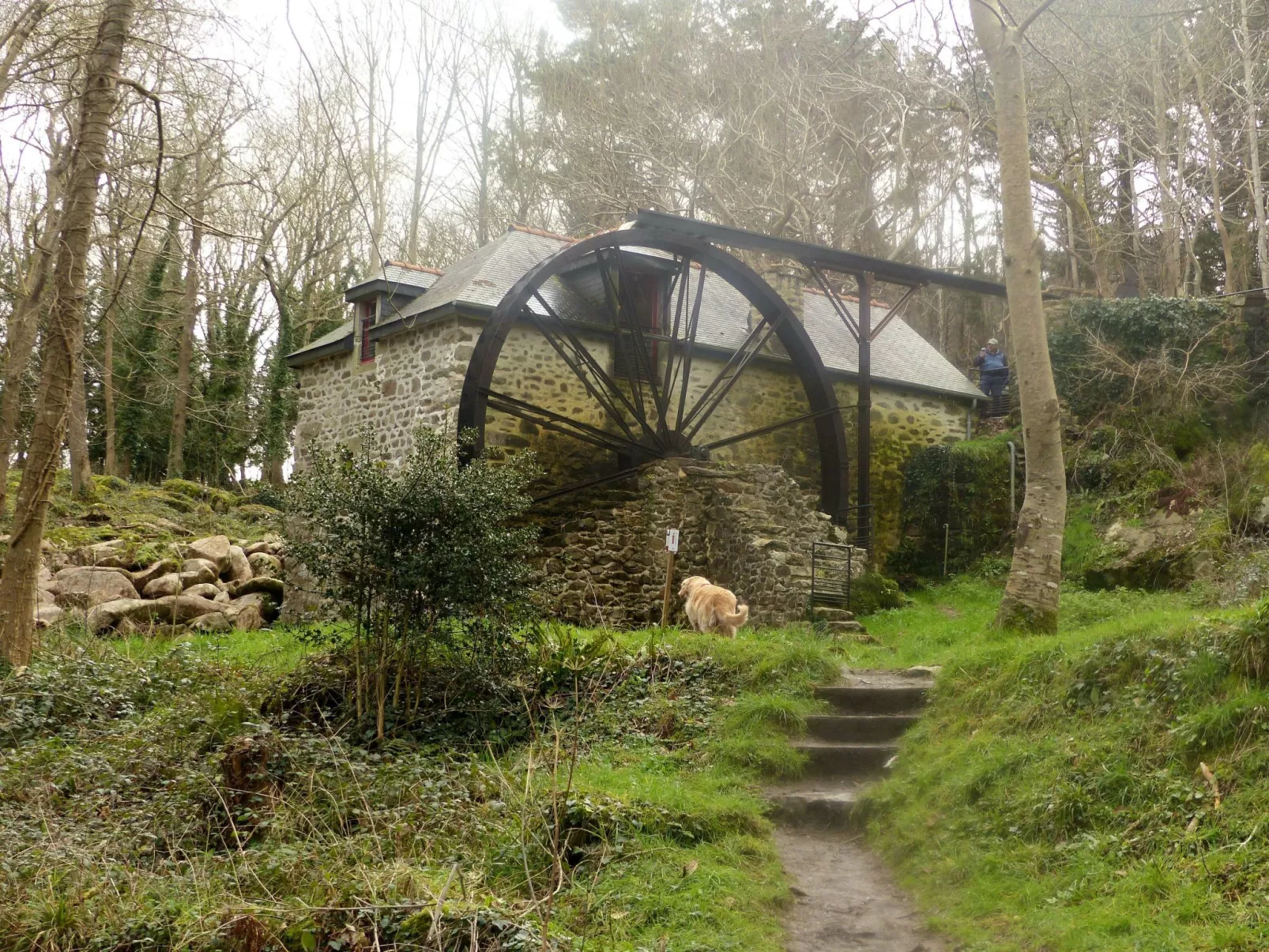 Unterkunft in der Mitte-Dehors