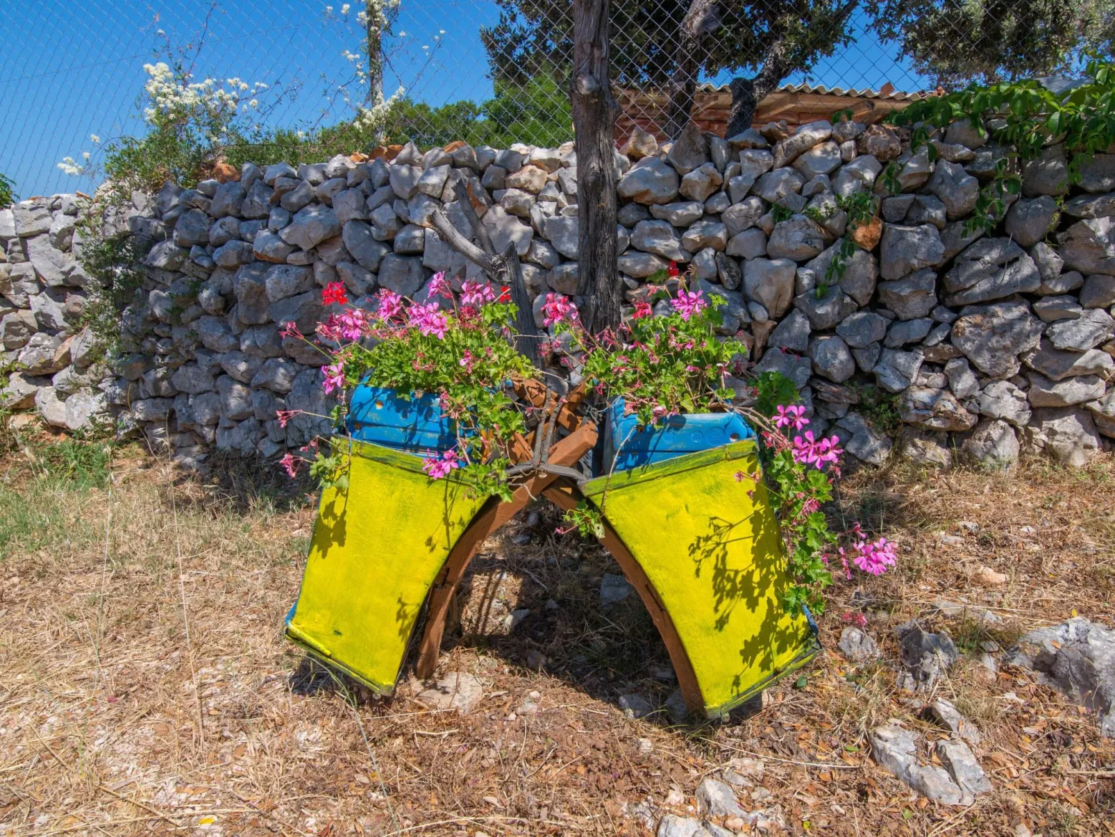 Wohnung Nika in Veli Losinj-Image-tags.info