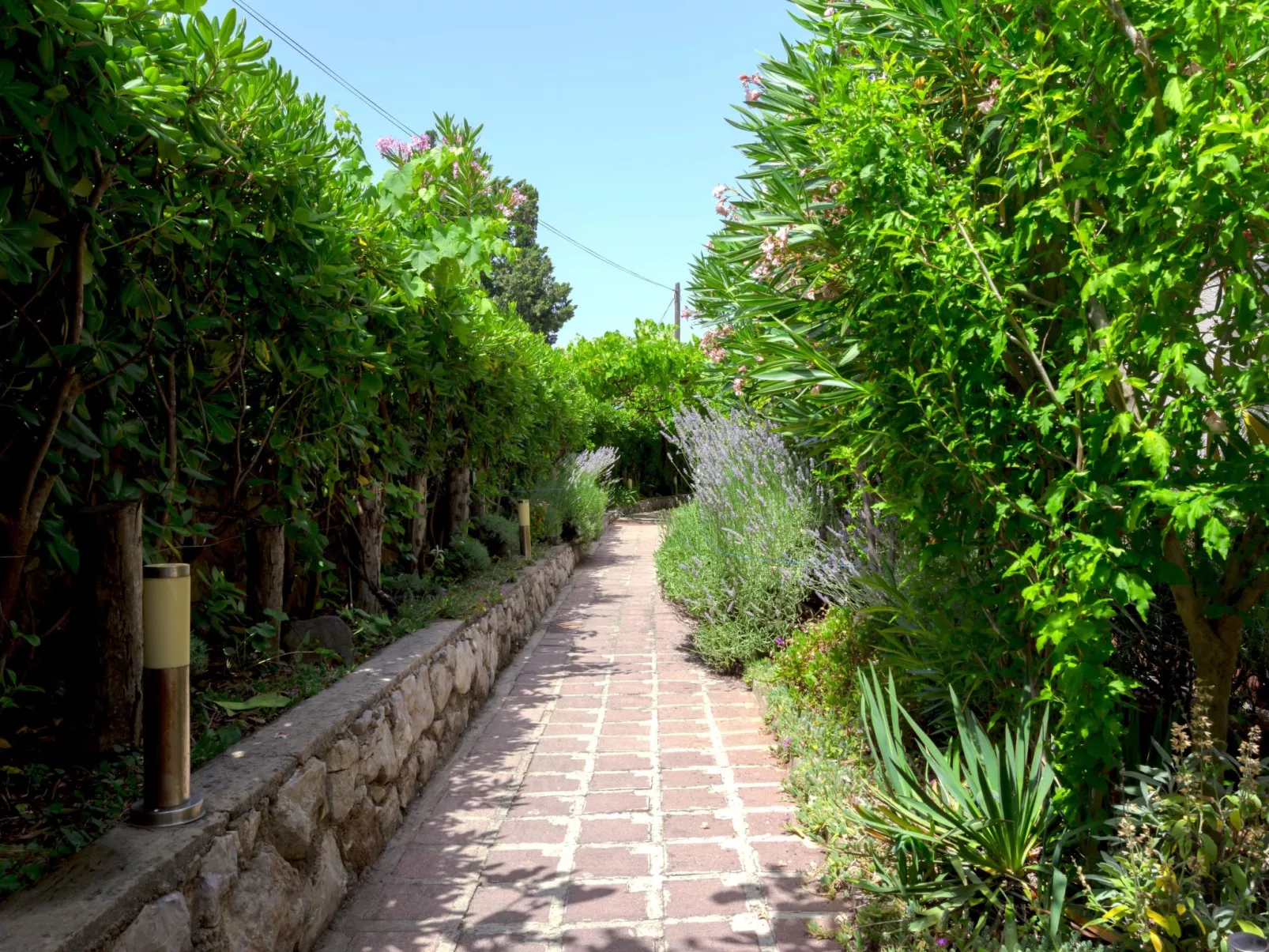 "Buka Calm II"-Inside