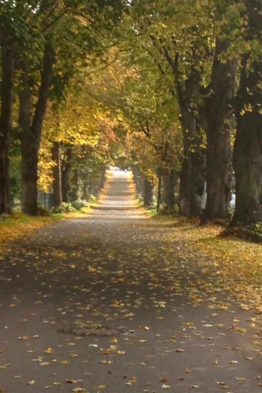 Gemütliches Apartment im Dachgeschoss-Outside