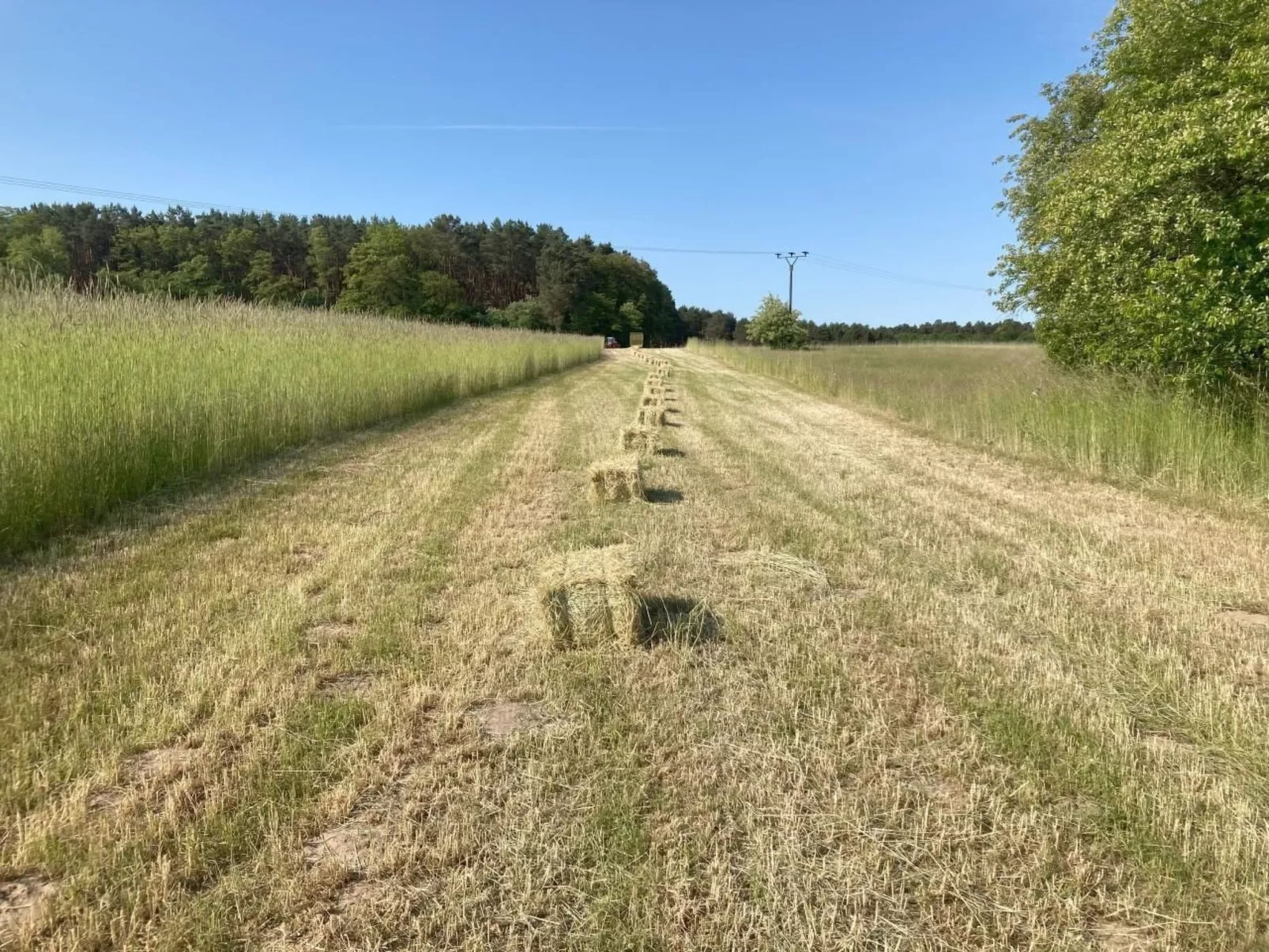 Bungalow Mecklenburgische Seenplatte-Dehors