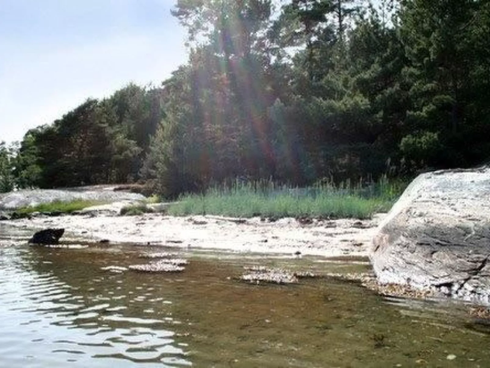 Wunderschönes Cottage "Traum von Wald und Meer"-Draußen
