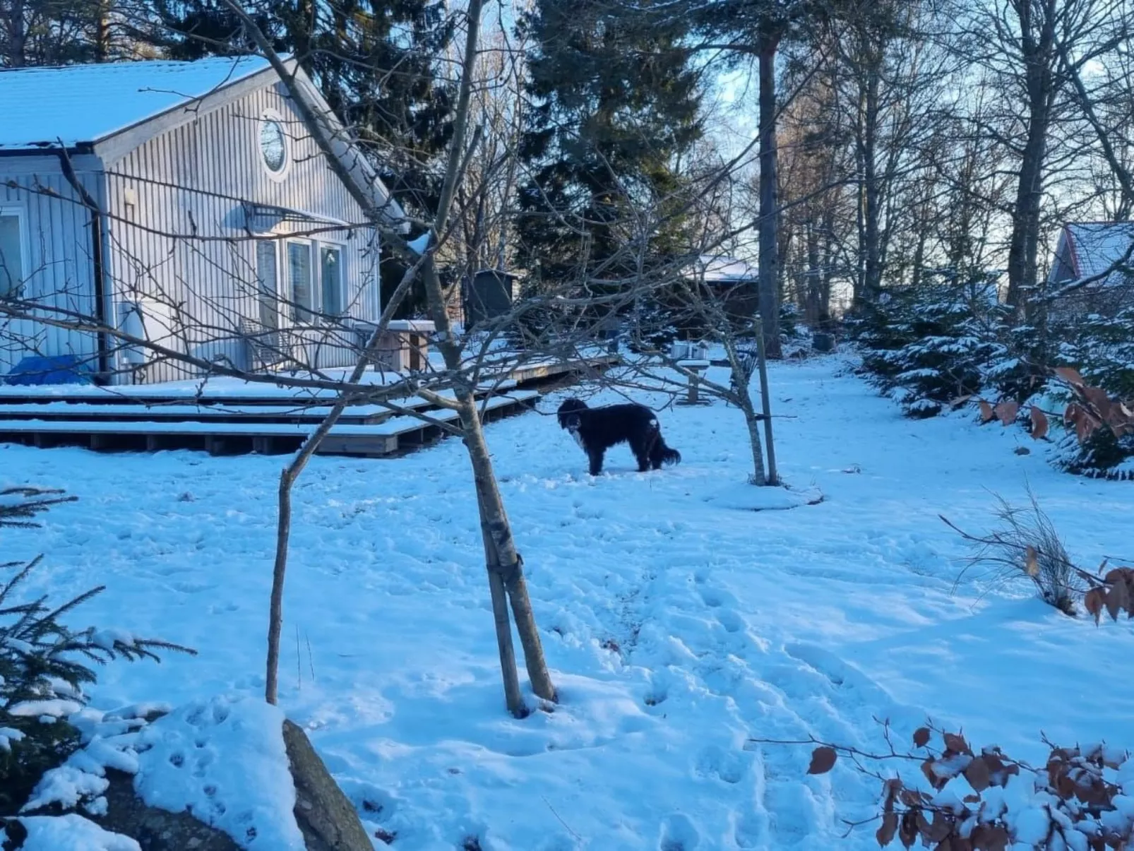 Mit Terrasse, Grill und Garten-Dehors