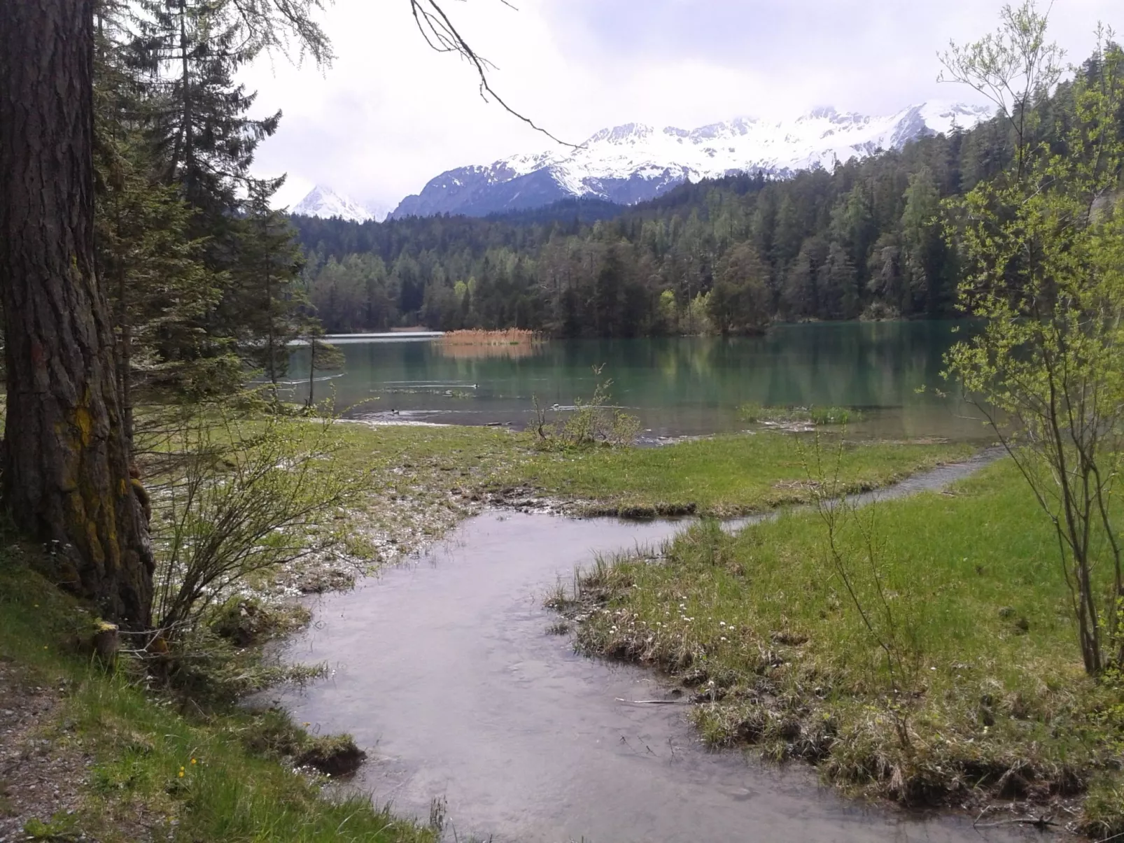 Sonnenhof 1-2 Personen in Ehrwald-Outside