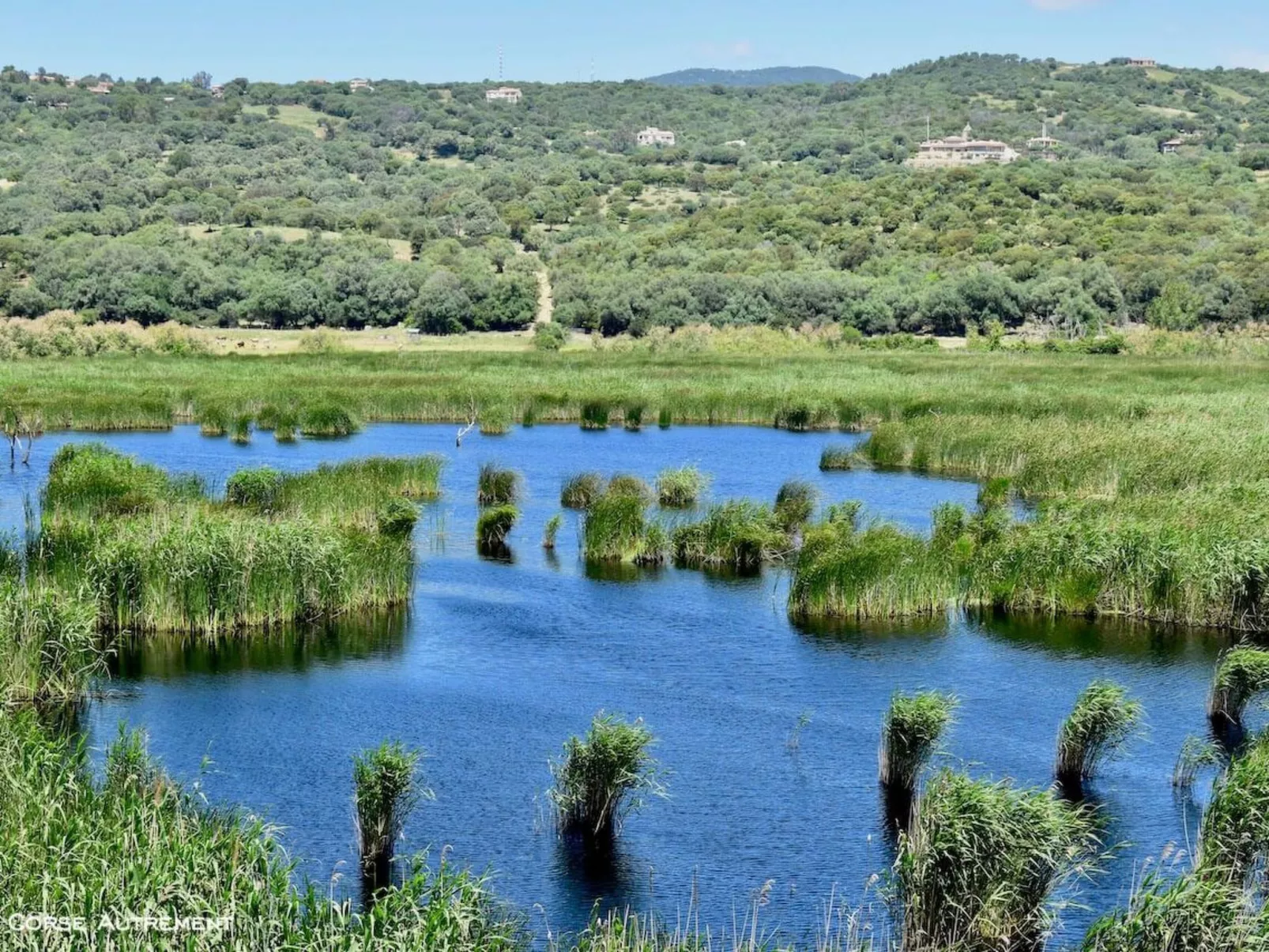 Villa Casa Nera-Image-tags.info