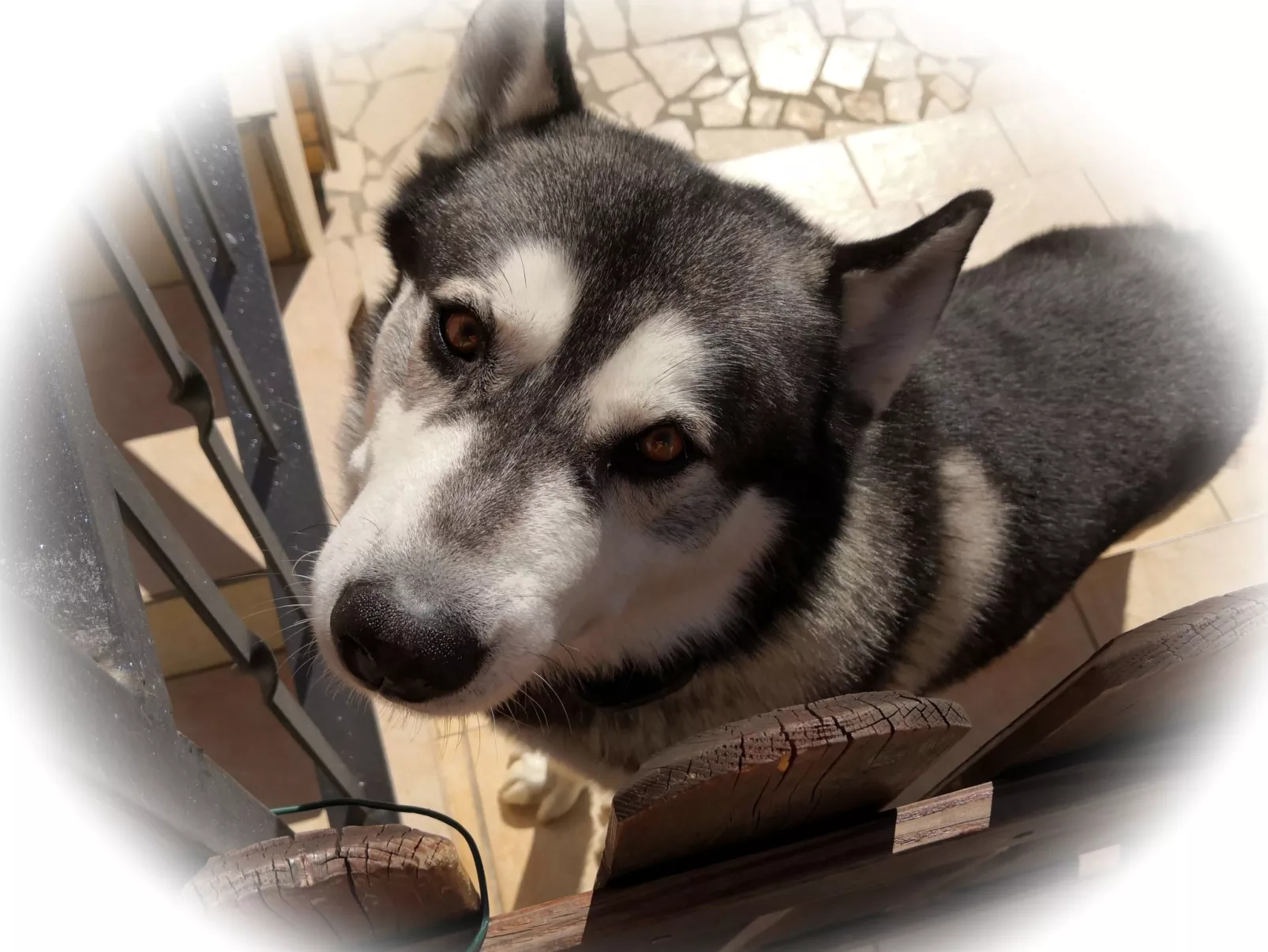 Apartment TOP 1-Dehors