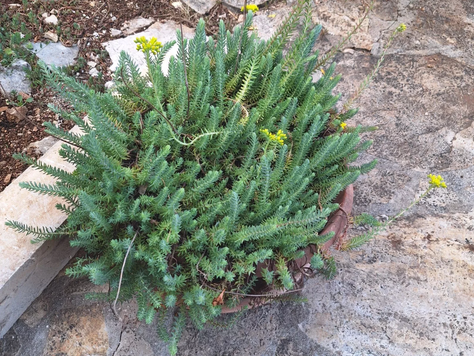 Studio für zwei Personen im Erdgeschoss-Image-tags.info