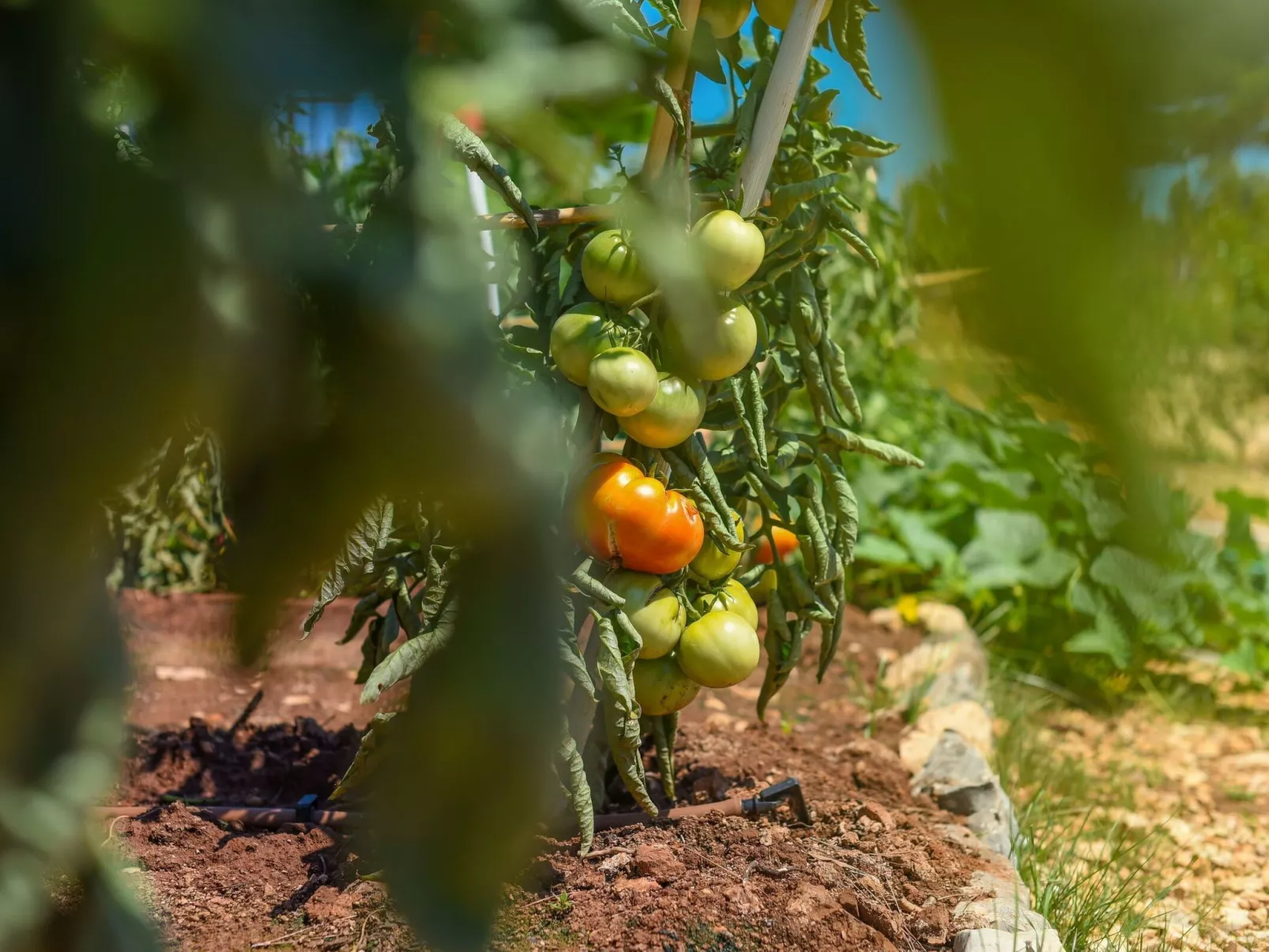 Mobilheim direkt am Strand-Draußen