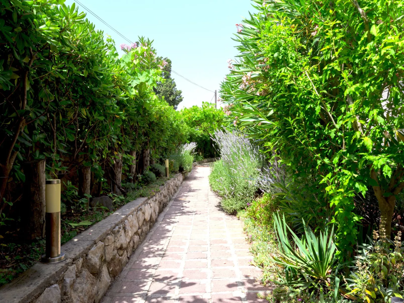 Studio "Buka Calm IV"-Dedans