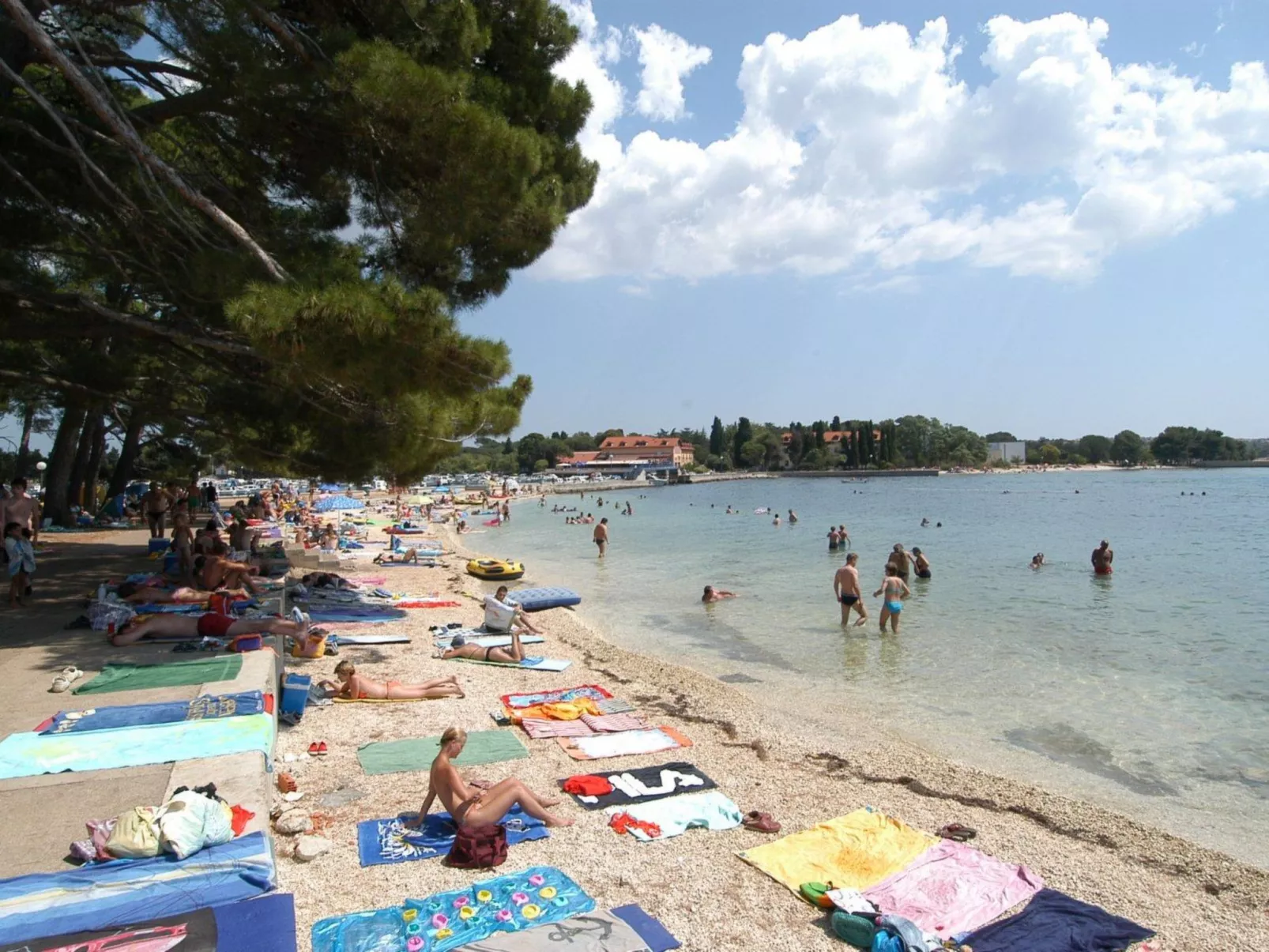 Anemona, Dorf Valbandon-Image-tags.info