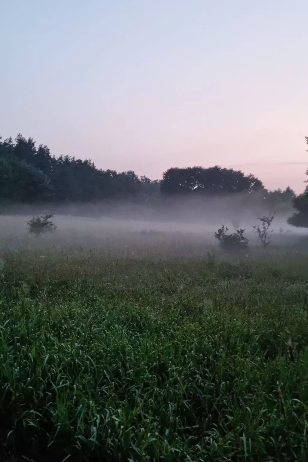 Lublewo21 Ferienhäuser - Draußen