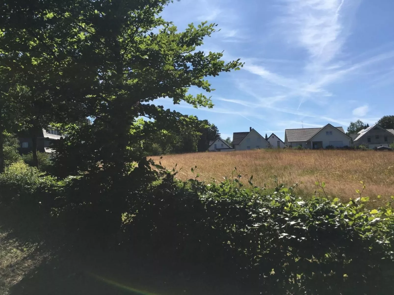 Berg- und Seeblick am Hillebachsee-Image-tags.info