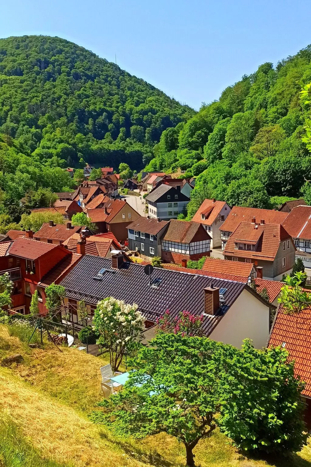 Authentisches Fachwerkhaus am Rande des Waldes-Dehors