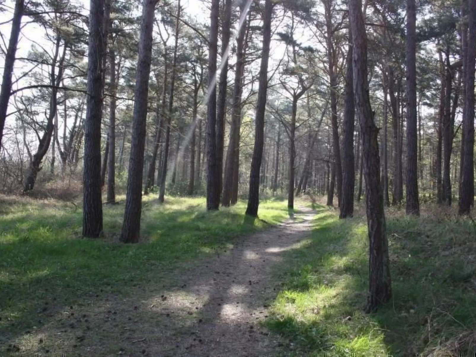 In Glowe mit Terrasse-Image-tags.info